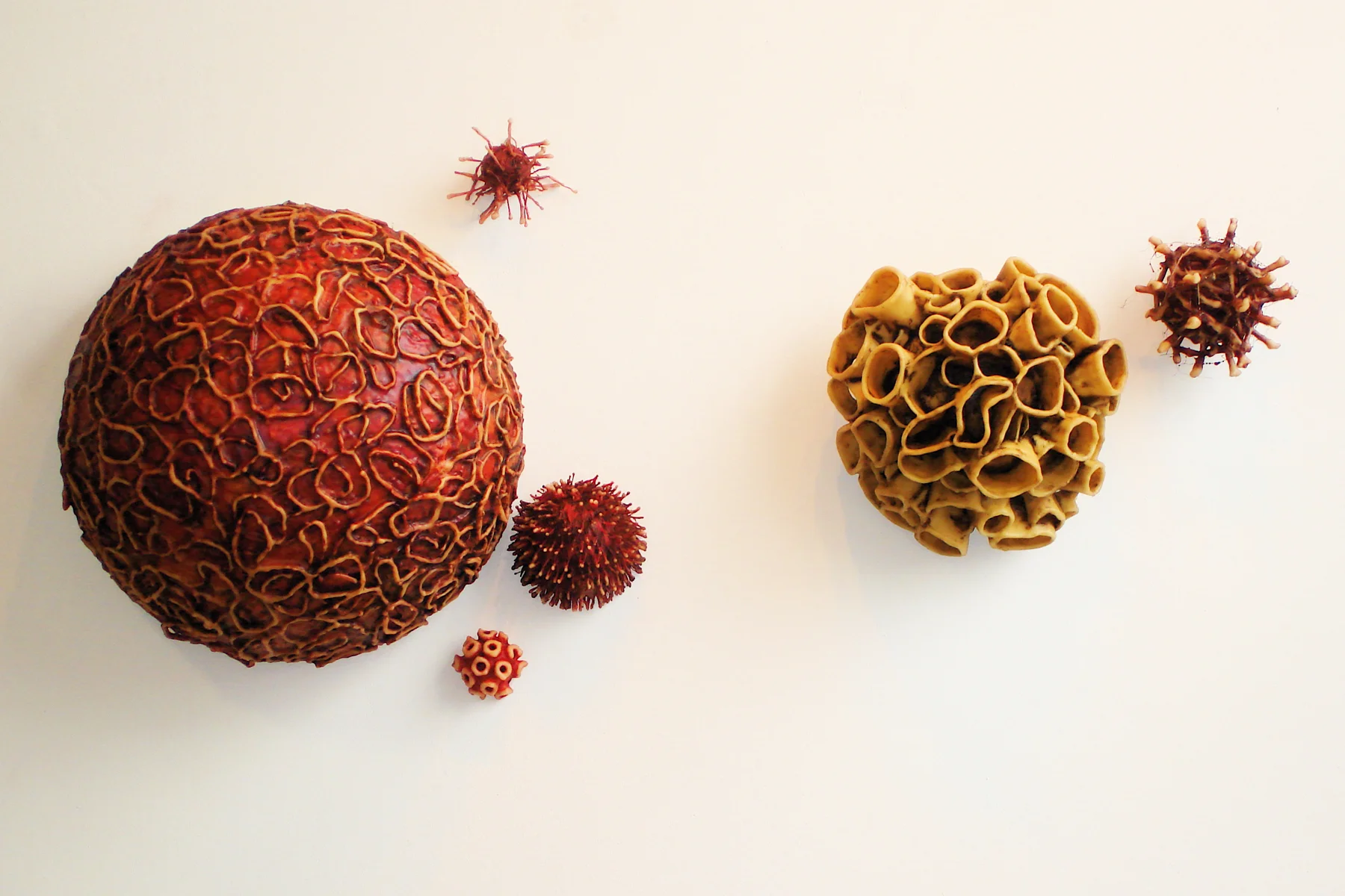 Modifications (Installation View)