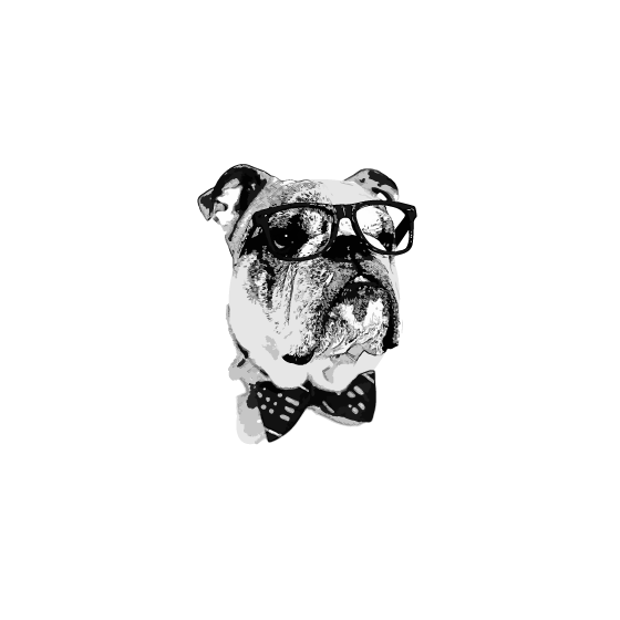 ModernAve Pet Parlor