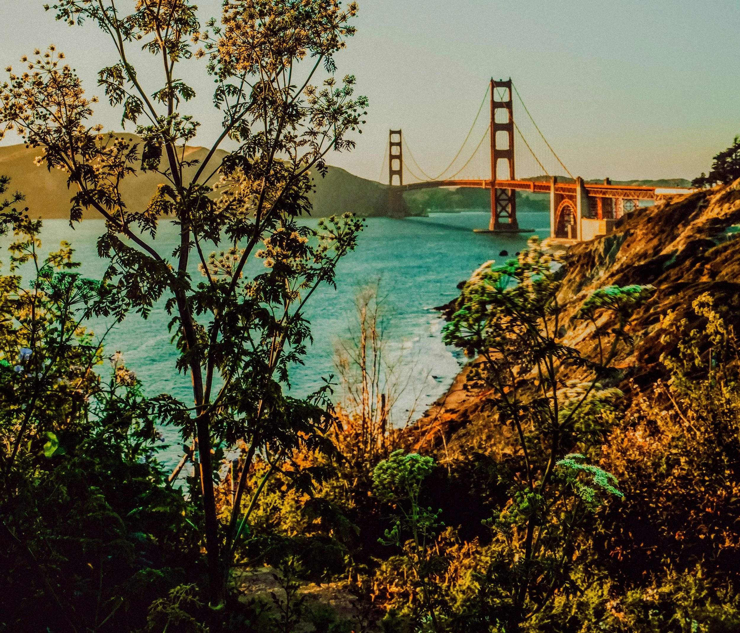eric-ward-693621-unsplash copy (2).jpg
