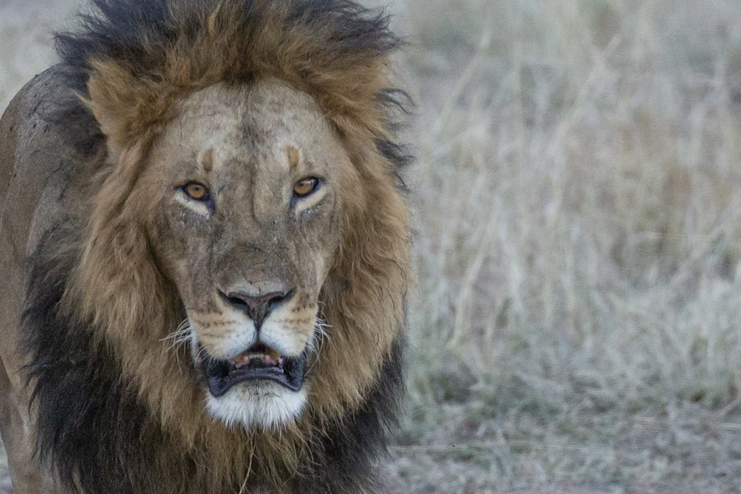 Acts: An Important Point, Pt. 2: Boldness