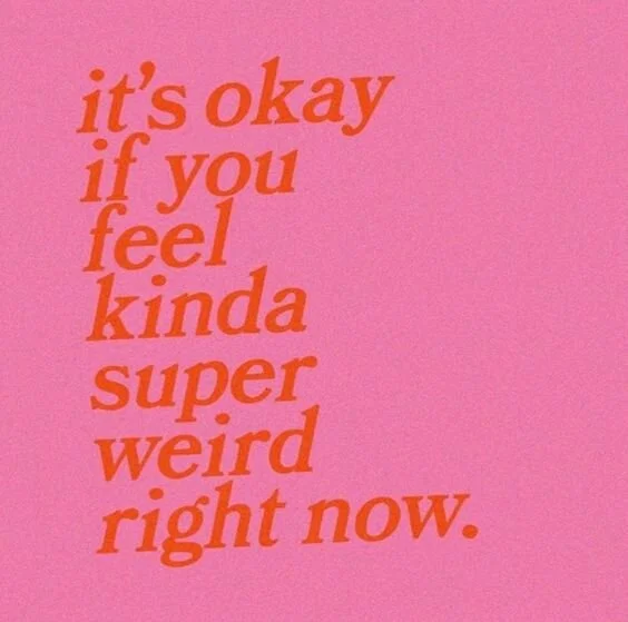 Livin' La Vida Lockdown Day 25