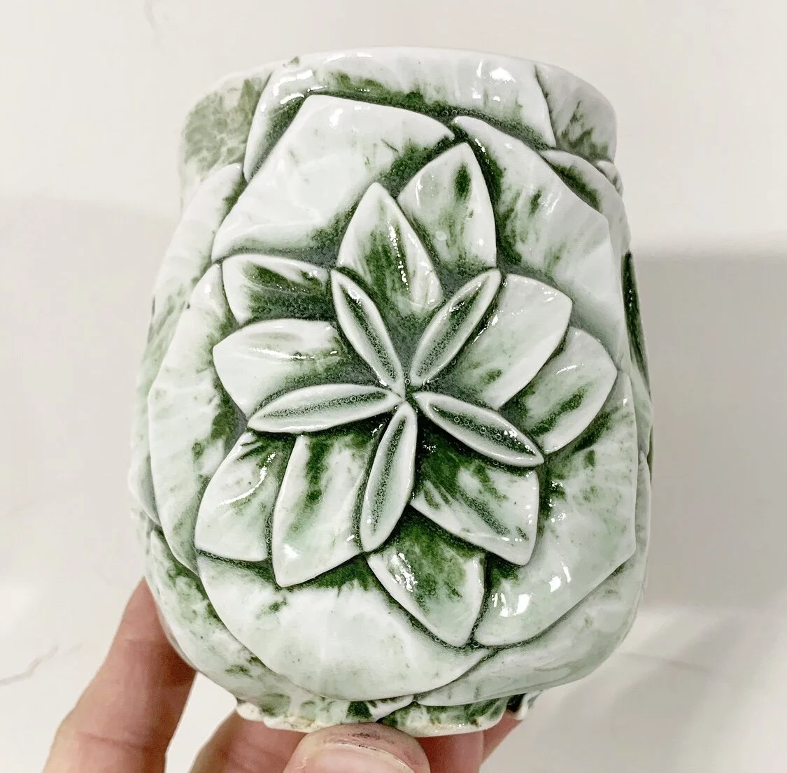 Green succulent cup