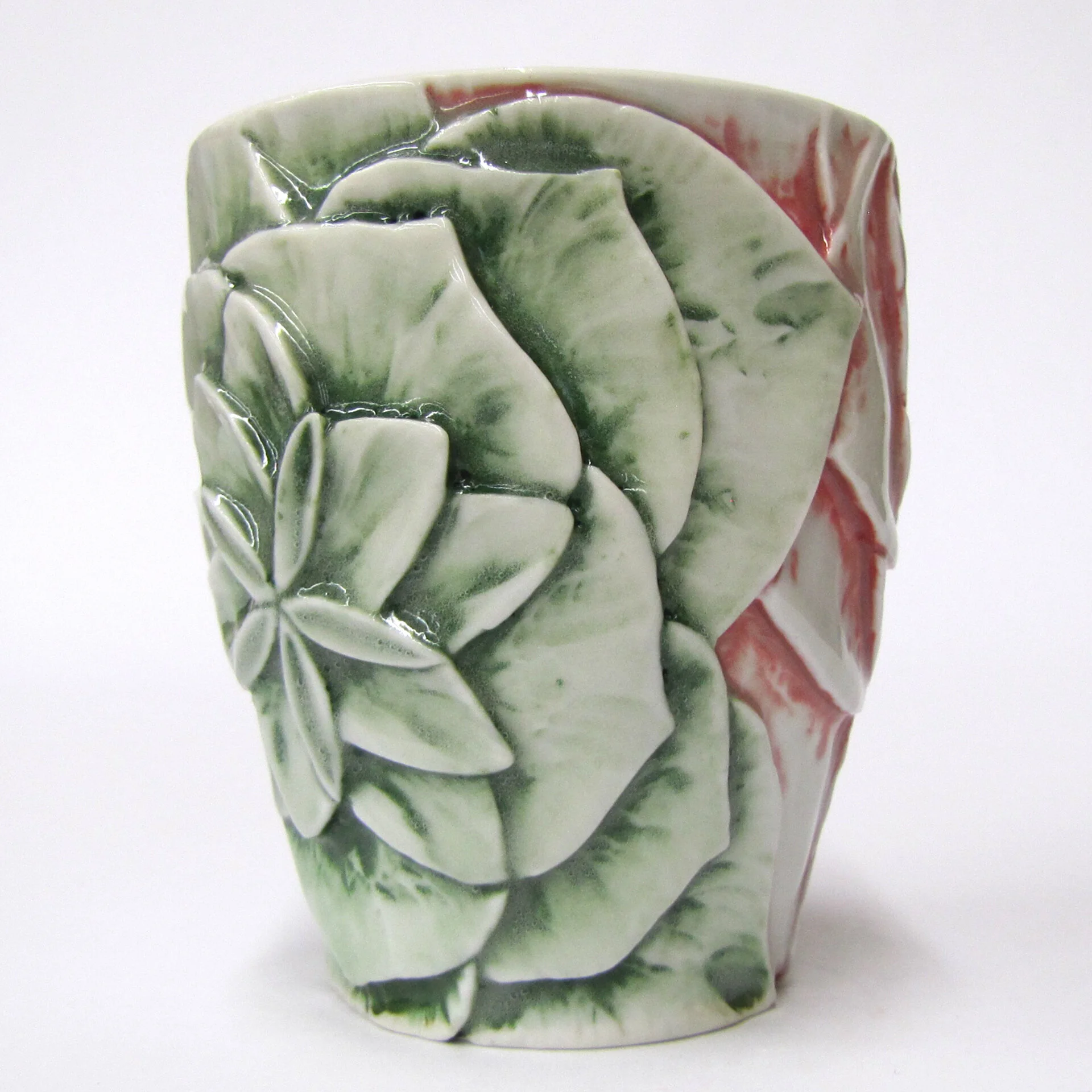 Succulent multi colored