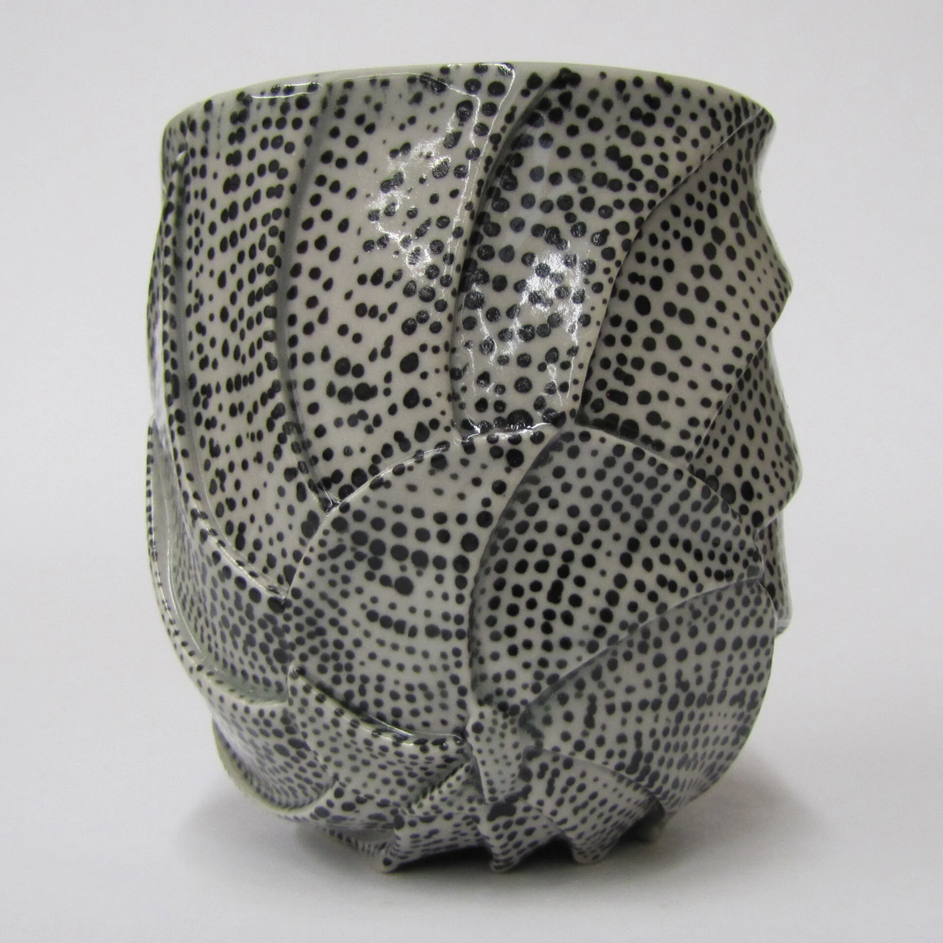 Nautilus cup collaboration with Tom Budazk