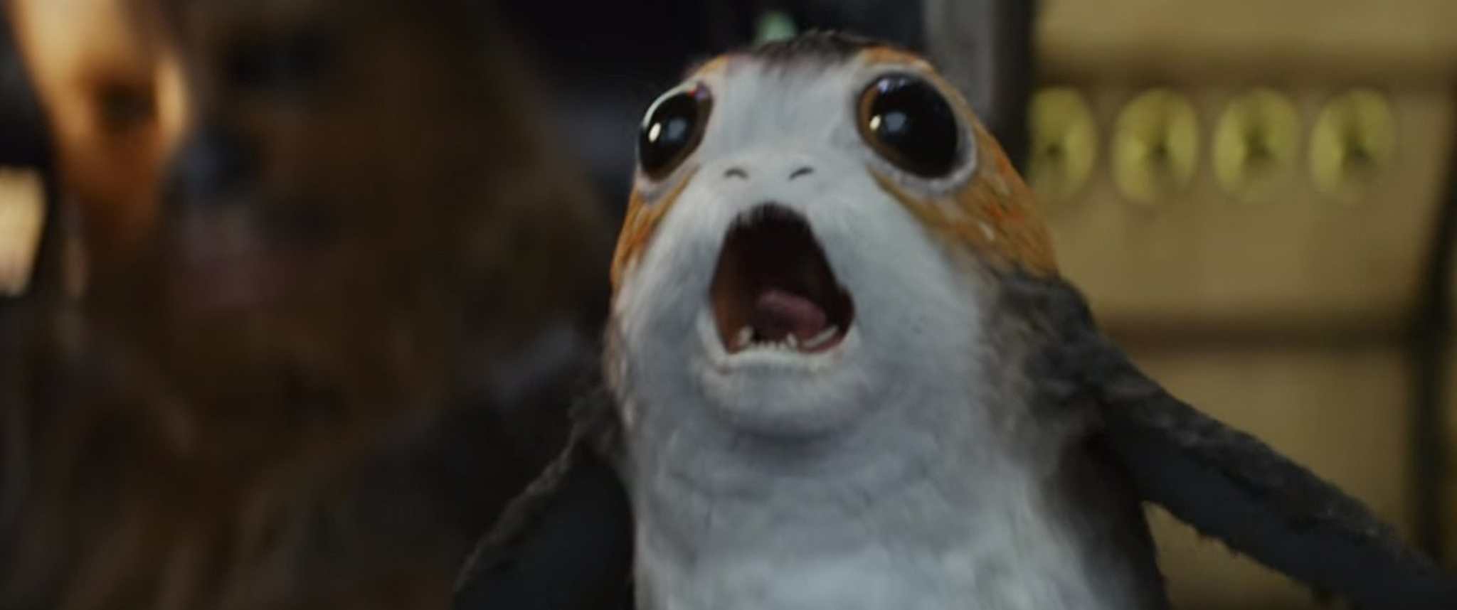 Long Live the Porgs!
