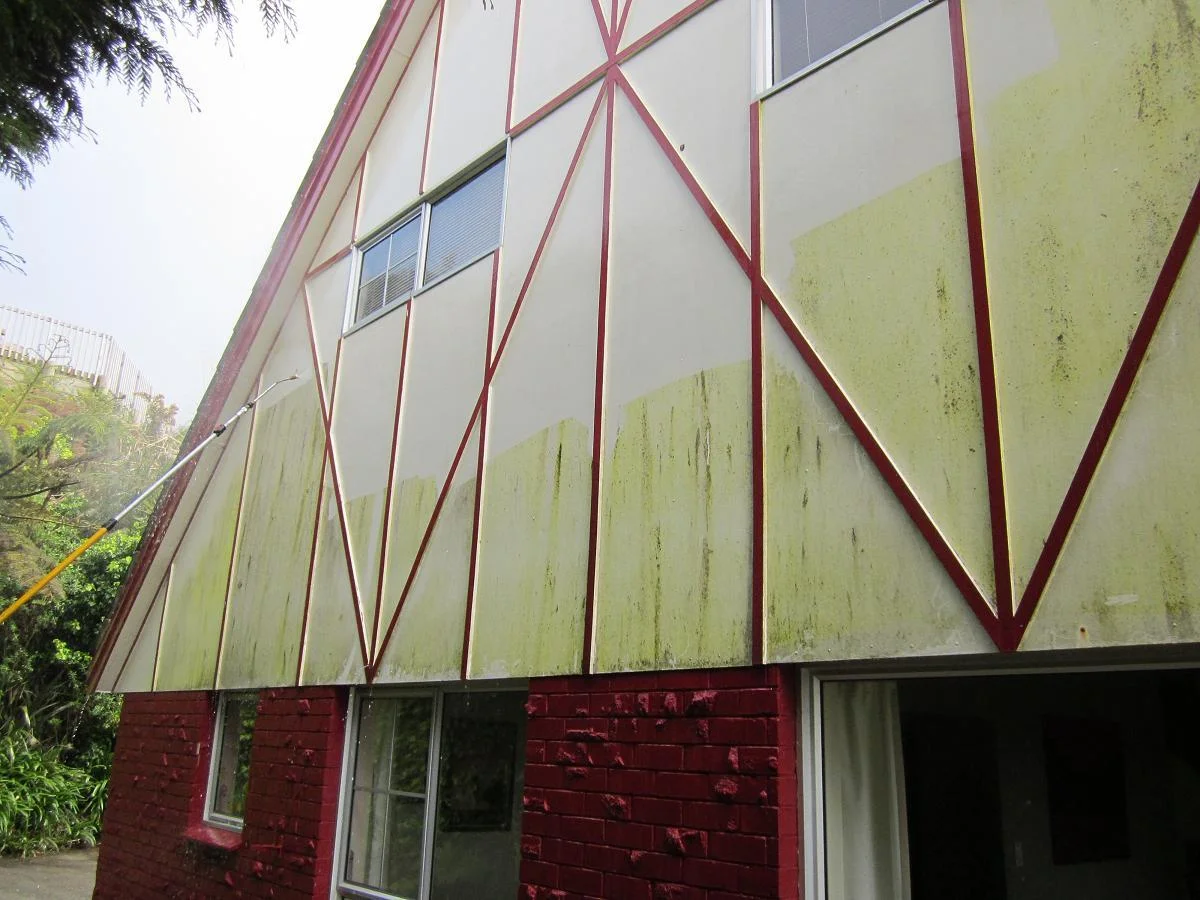 Mould Removal Process During.JPG