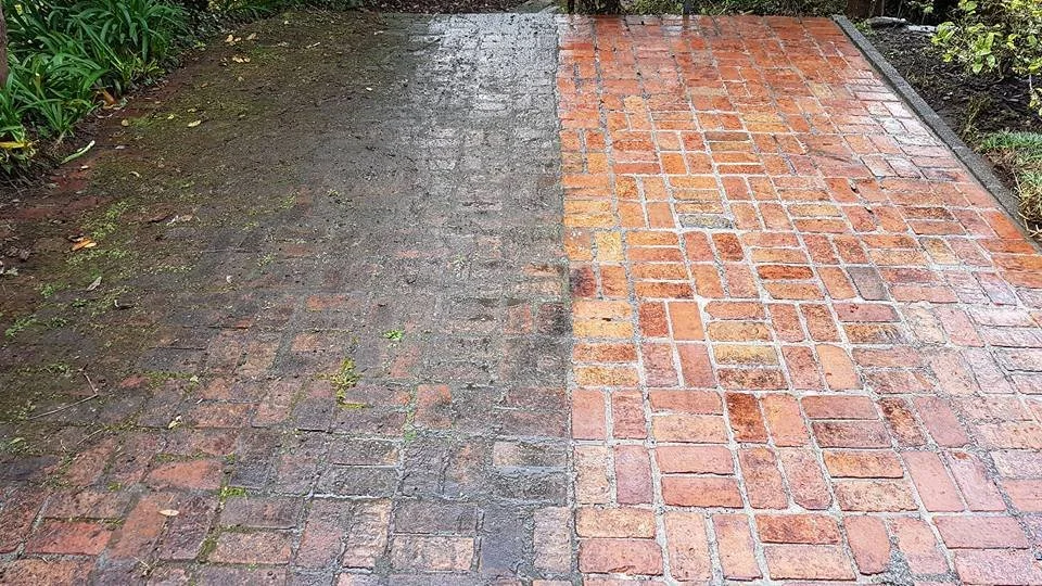 Before and after gutter and roof cleaning Wellington - blocked gutters cleared and moss removed

