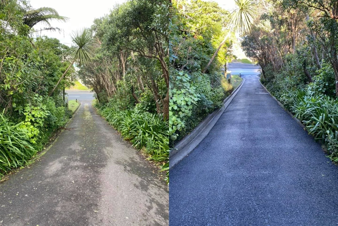 Before and after water blasting driveway cleaning Wellington - moss and stains removed