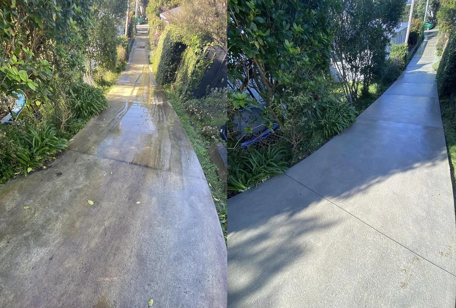 Deck cleaning Hutt Valley before and after - fresh clean timber deck ready for summer

