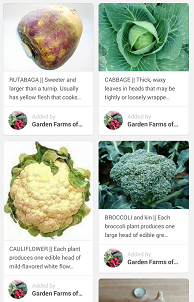 Cool-season-crop-menu1.png