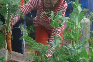 school-garden-300x199.jpg