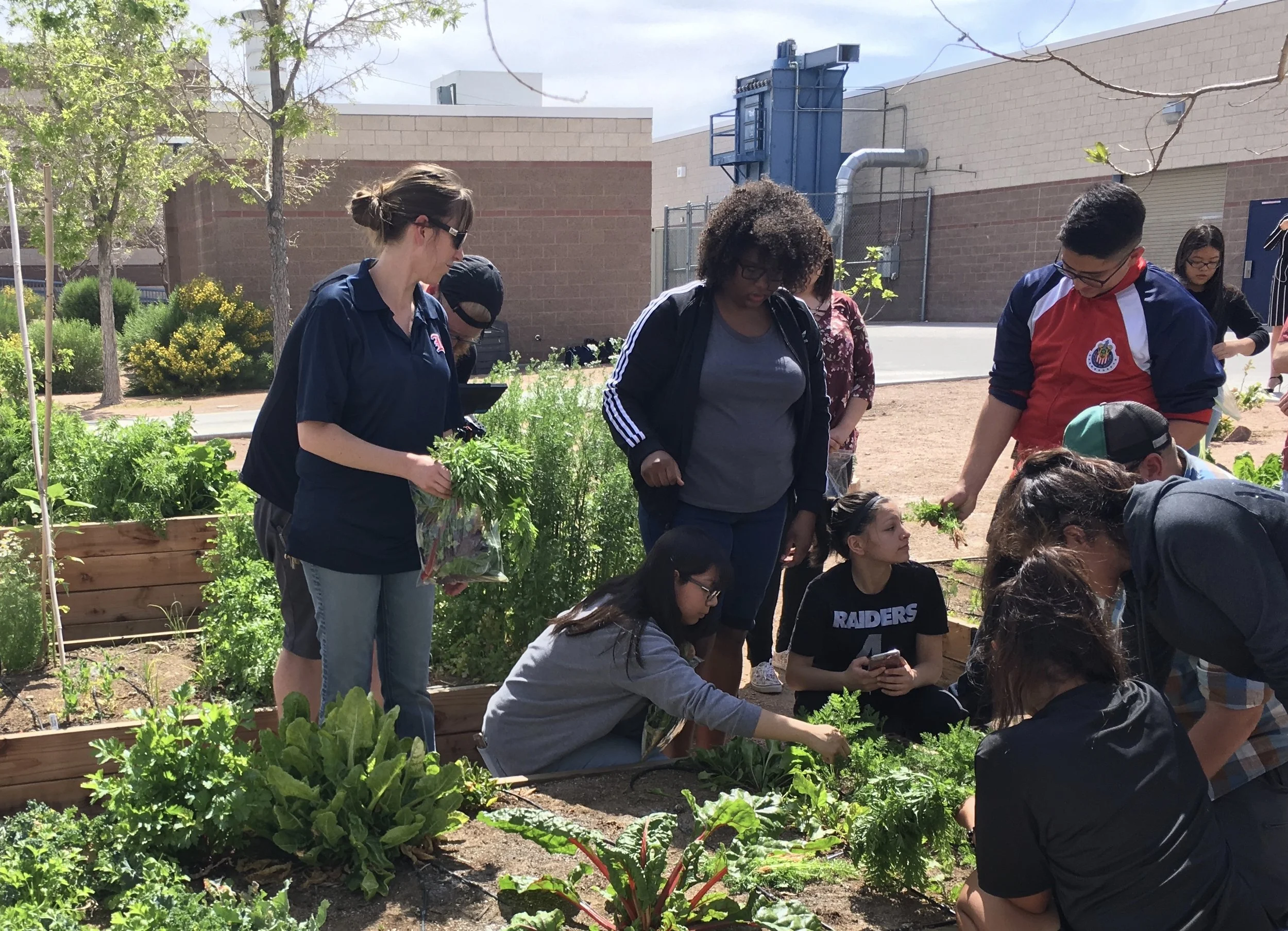 Garden Farms teams with Inspirada HOA and GOP to build a school garden at Liberty High School