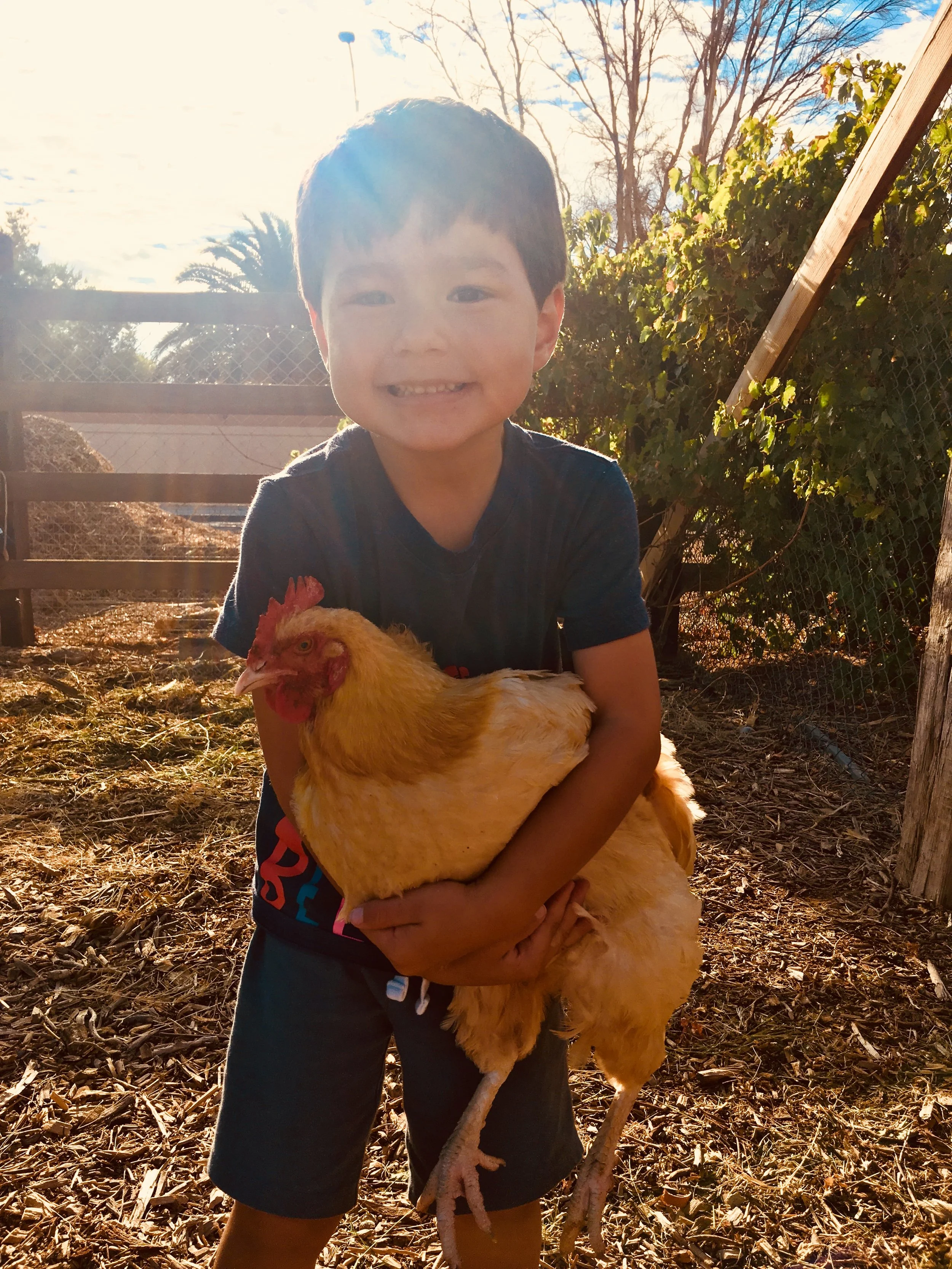 How Your Garden Grows