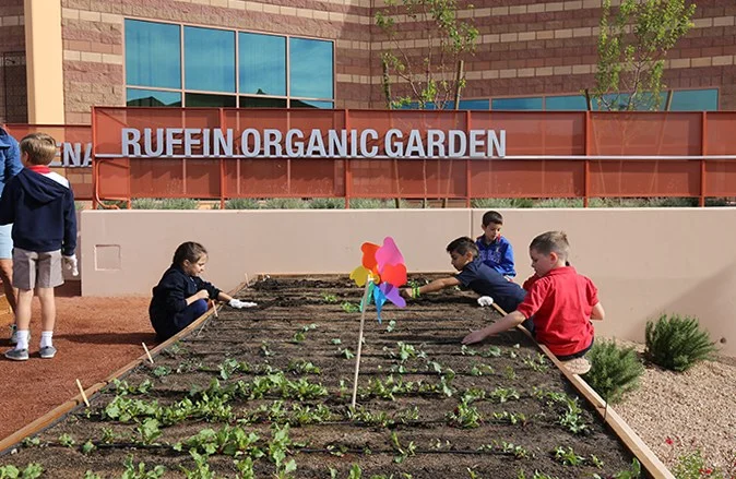 Dawson is proud to have one of the largest school gardens in Las Vegas