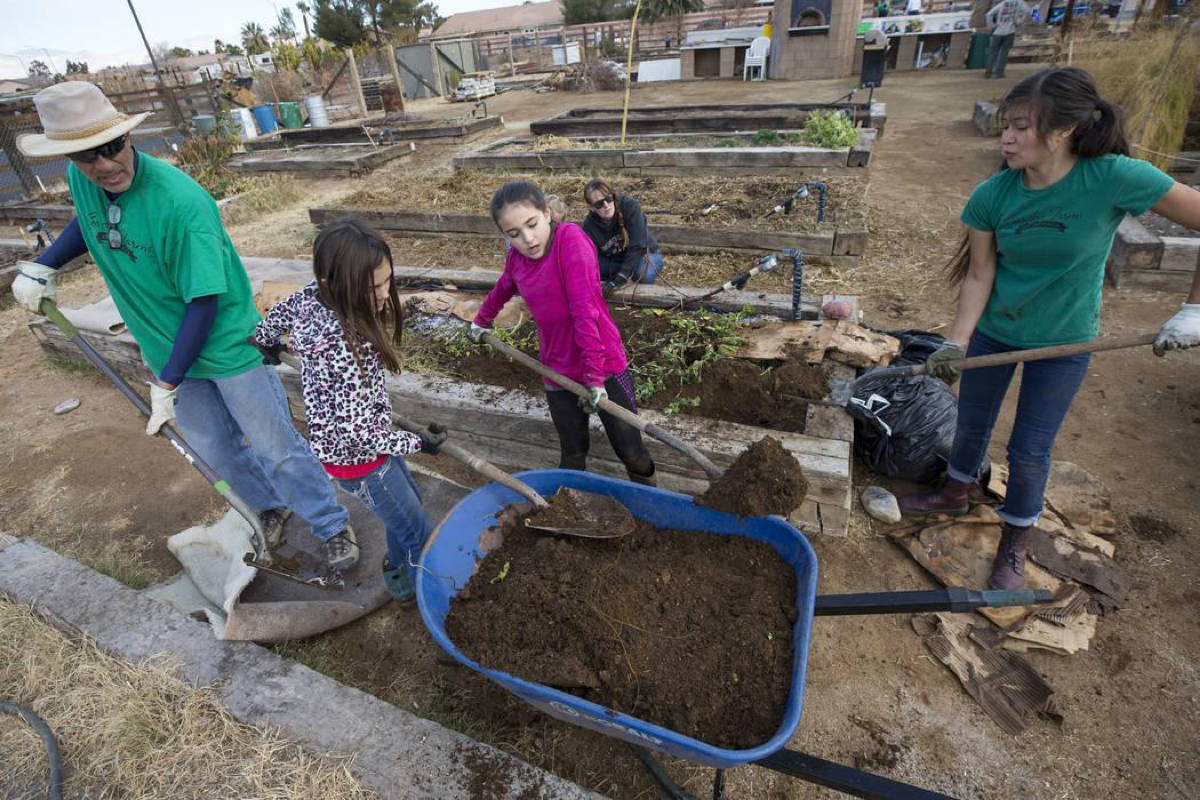 Farmer Joe Lecek, from left, Presleigh Bedard, 10, Rebecca Anderson, 9, and Vanessa Portillo, executive director of the Garden Farms Foundation, load up a wheelbarrow with vermicompost during a volunteering event at the San Miguel Community Garden located at 3939 Bradley Road in Las Vegas on Saturday, Jan. 12, 2019. Richard Brian Las Vegas Review-Journal @vegasphotograph
