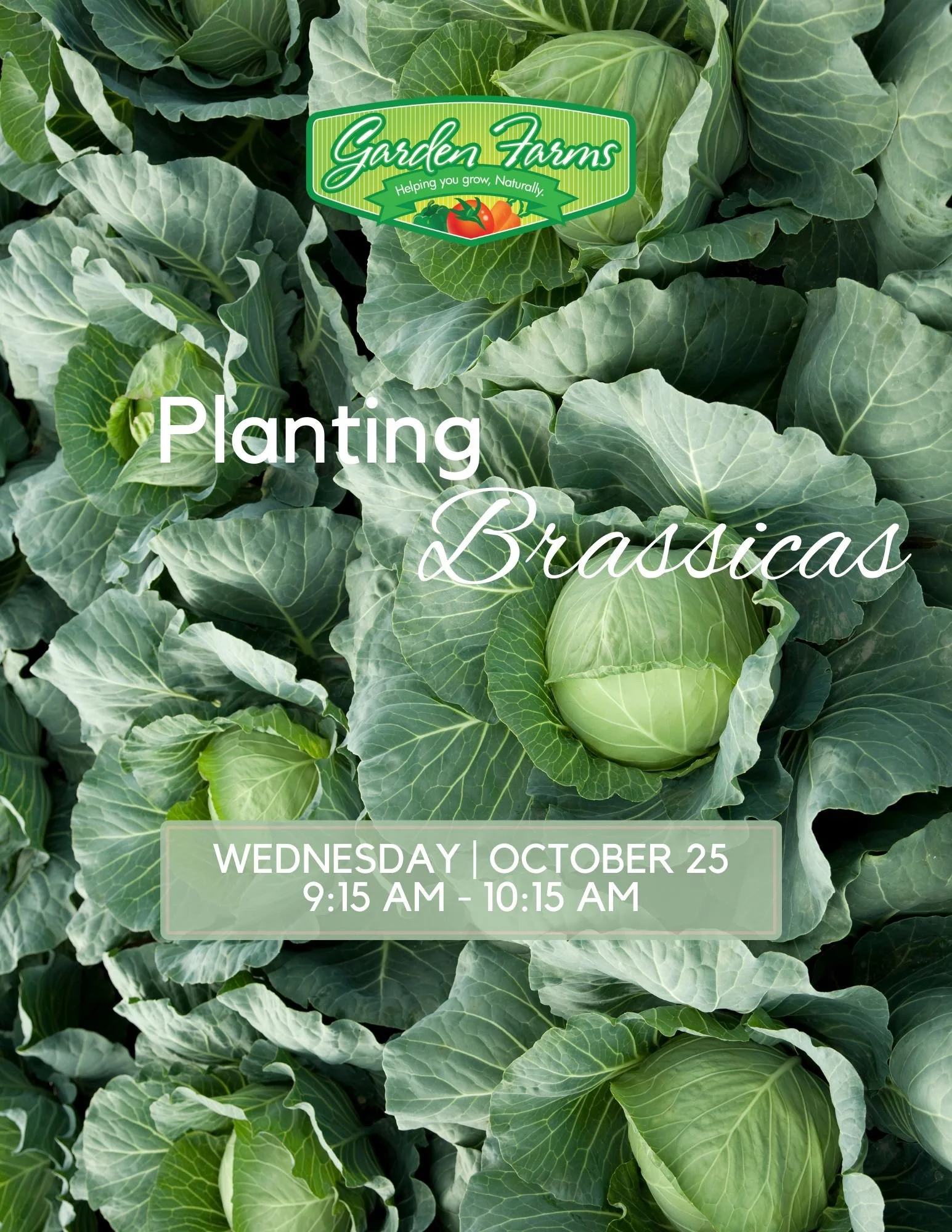 Garden Farms — Public Classes