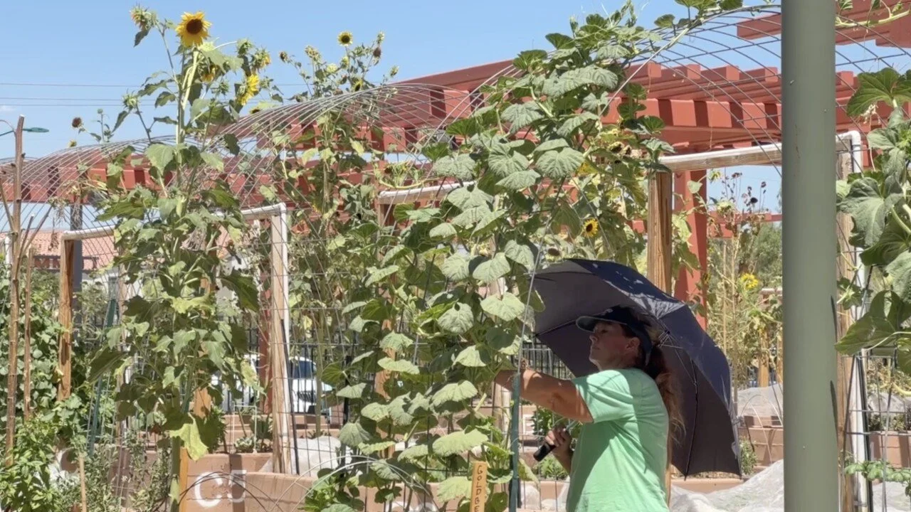 Excessive Heat in the Desert