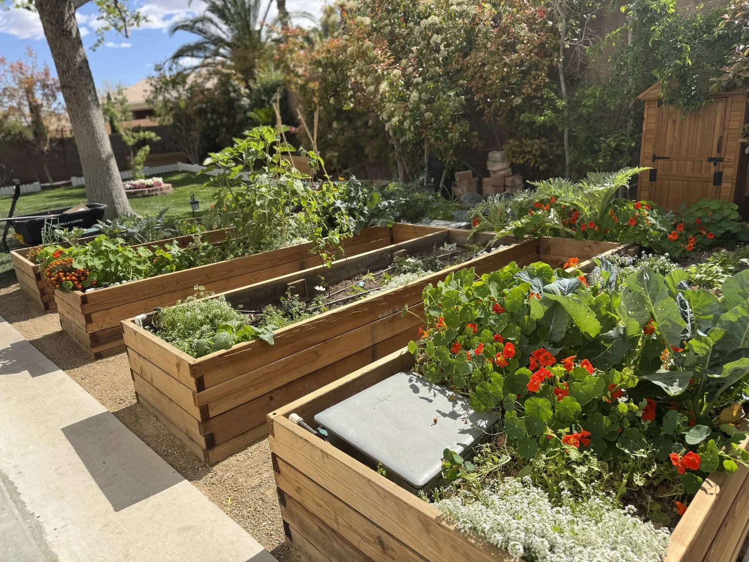 Garden Farms — Backyard Gardens