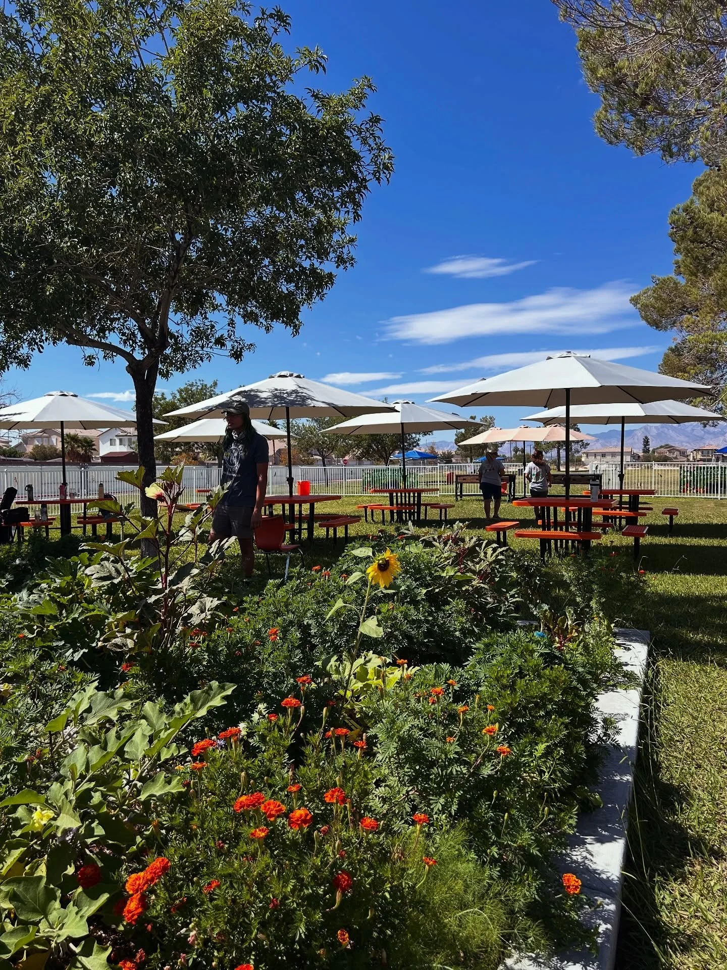 🌱 Did you know that we  bring garden education directly into local schools?

At Garden Farms of Nevada, we&rsquo;re not just growing food &mdash; we&rsquo;re growing young minds.

Since 2010, we&rsquo;ve partnered with schools across Las Vegas to cr