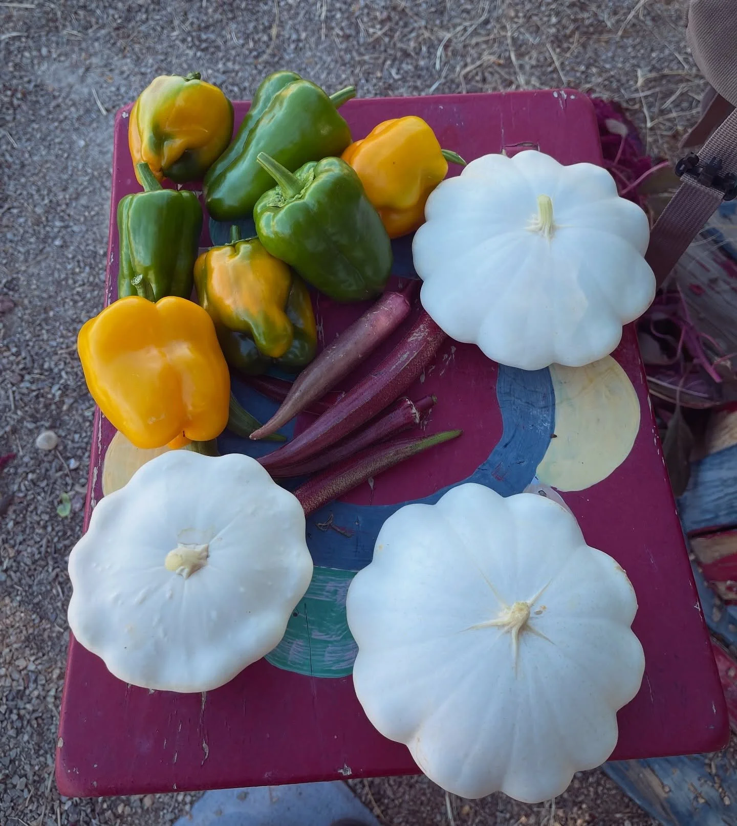 Harvest from Richard Bryan Elementary School 🌱👩&zwj;🌾

#schoolgarden #gardeneducation #growwithgardenfarms #urbanfarming #growninnevada