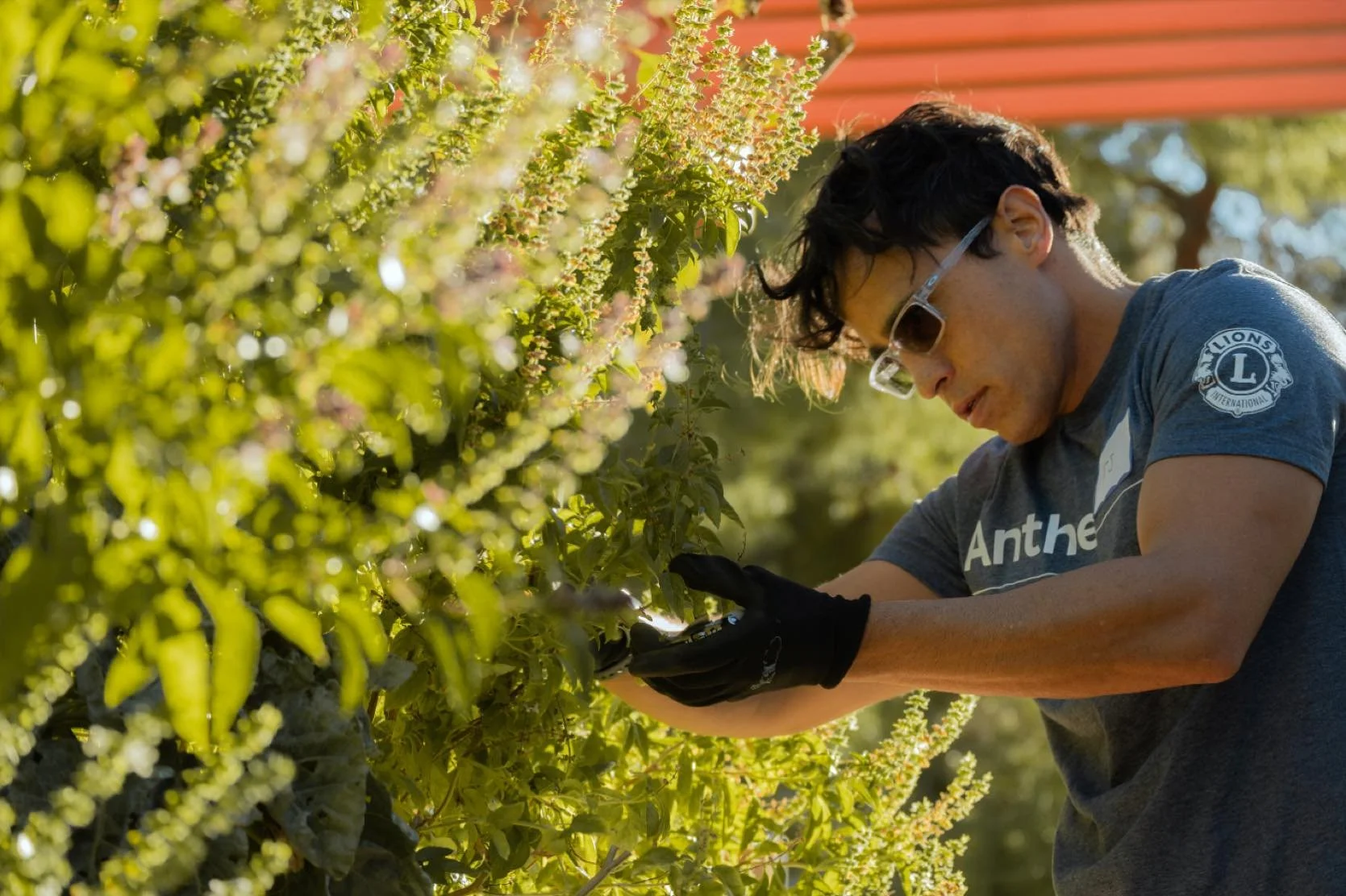 Get Your Hands Dirty &ndash; No Experience Needed!

Join Garden Farms&rsquo; Professional Urban Farmers every Saturday at Pumpkin Park in Henderson for a fun, hands-on gardening experience designed for all ages and skill levels . Whether you&rsquo;re
