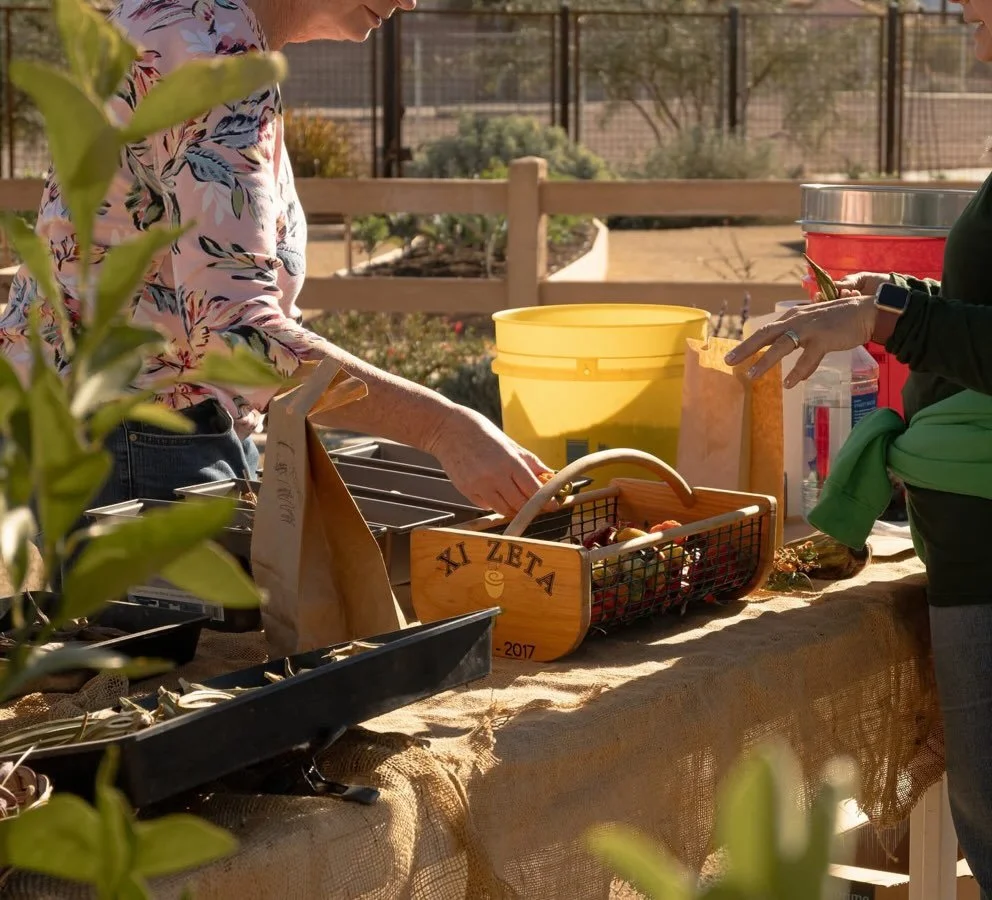 🌱🌿 Join us for the Ultimate Seed Swap! 🌿🌱

Bring your favorite seeds, swap with fellow gardeners, and discover desert-adaptable varieties perfect for our climate! 🌵✨

📅 When: Saturday, January 31st | 9 AM - 12 PM
📍 Where: 405 Drake St., Hender