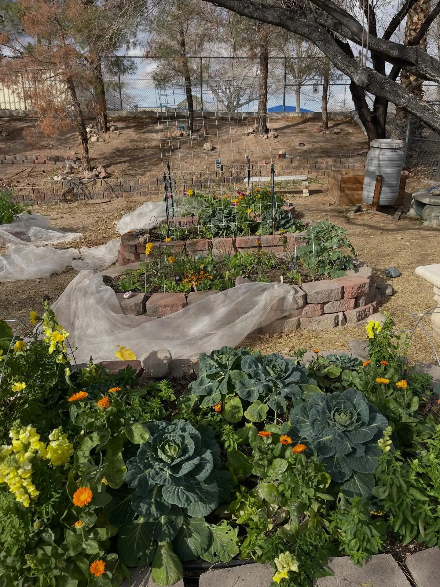 Spring has sprung at Martha P King Elementary School! 🐝🌸