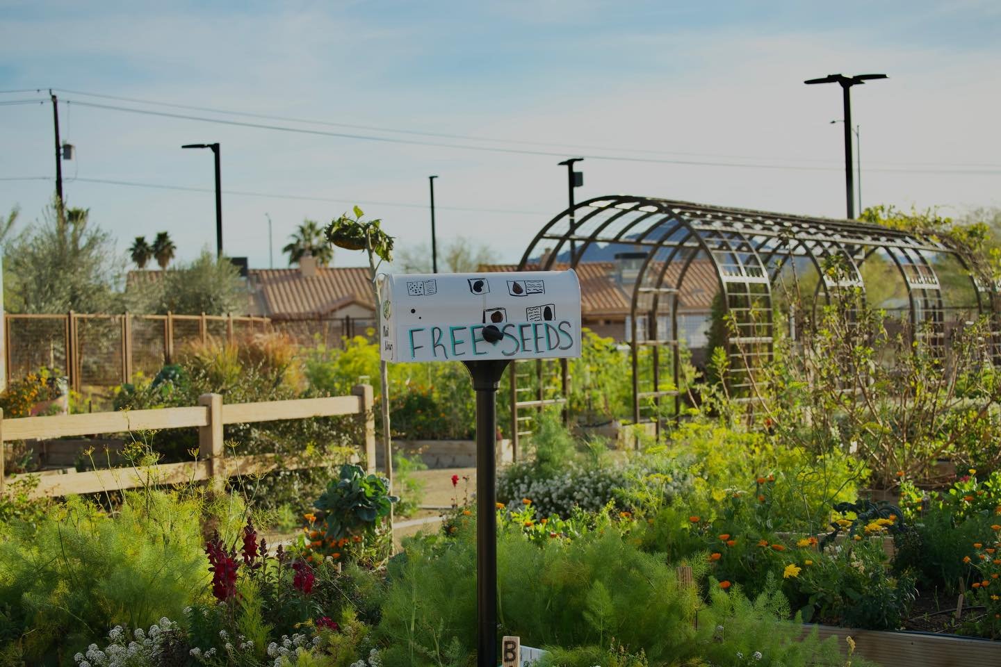 Did you know that there is a free @eastlvseedshare seed library installed at Pumpkin Park Community Garden? 
Stop by Pumpkin Park Monday through Saturday from 7 am to 2 pm to grab some desert adaptable seeds!

405 Drake Street Henderson Nevada

#help