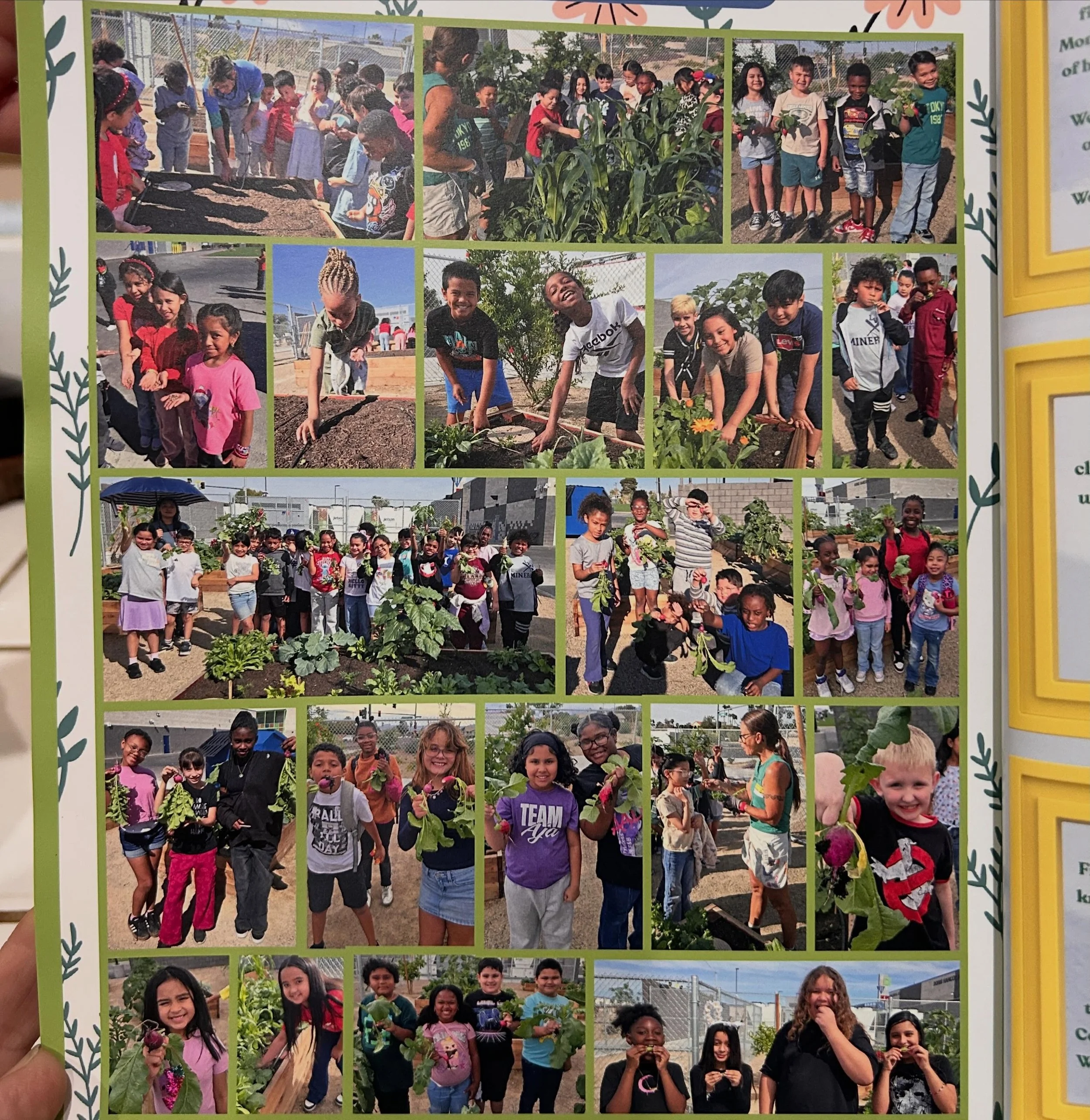 Yearbooks are officially in!!

We are loving all of the photos from your School Gardens and alongside our Seasoned Farmers this school year! Keep &lsquo;em coming!