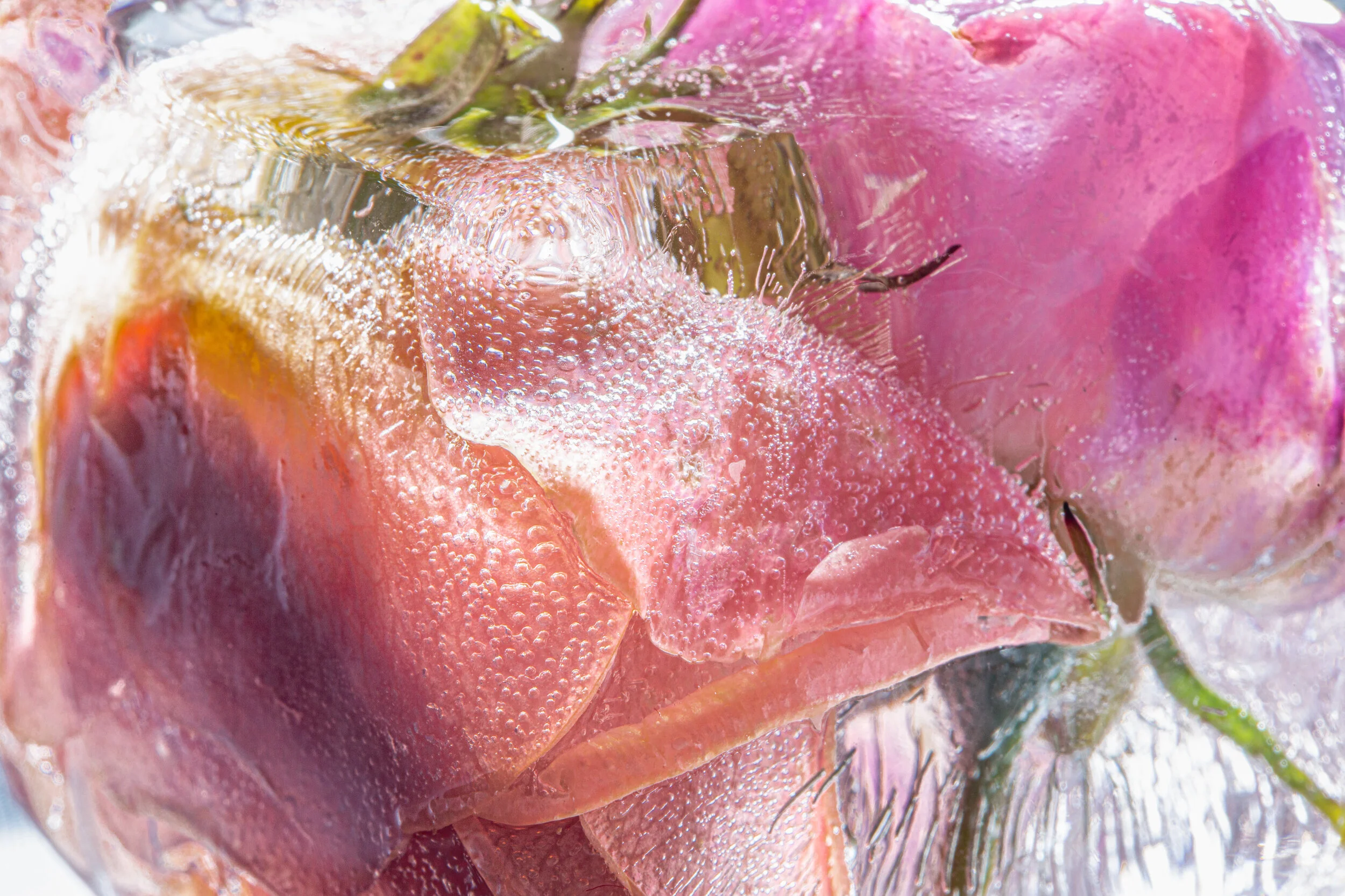 untitled-102-Edit.jpg