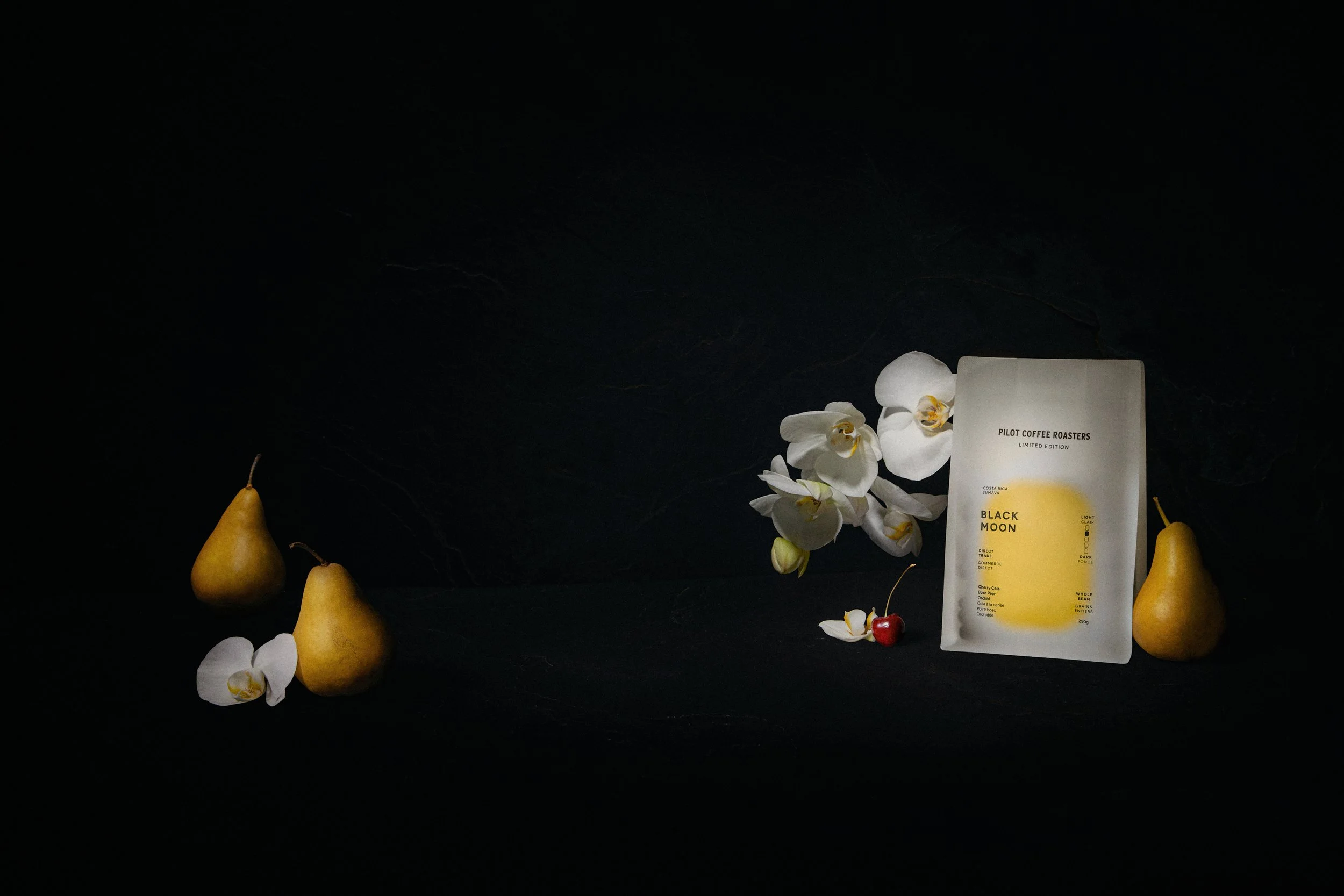 Bridgehead_Rebrand3035 1.jpg