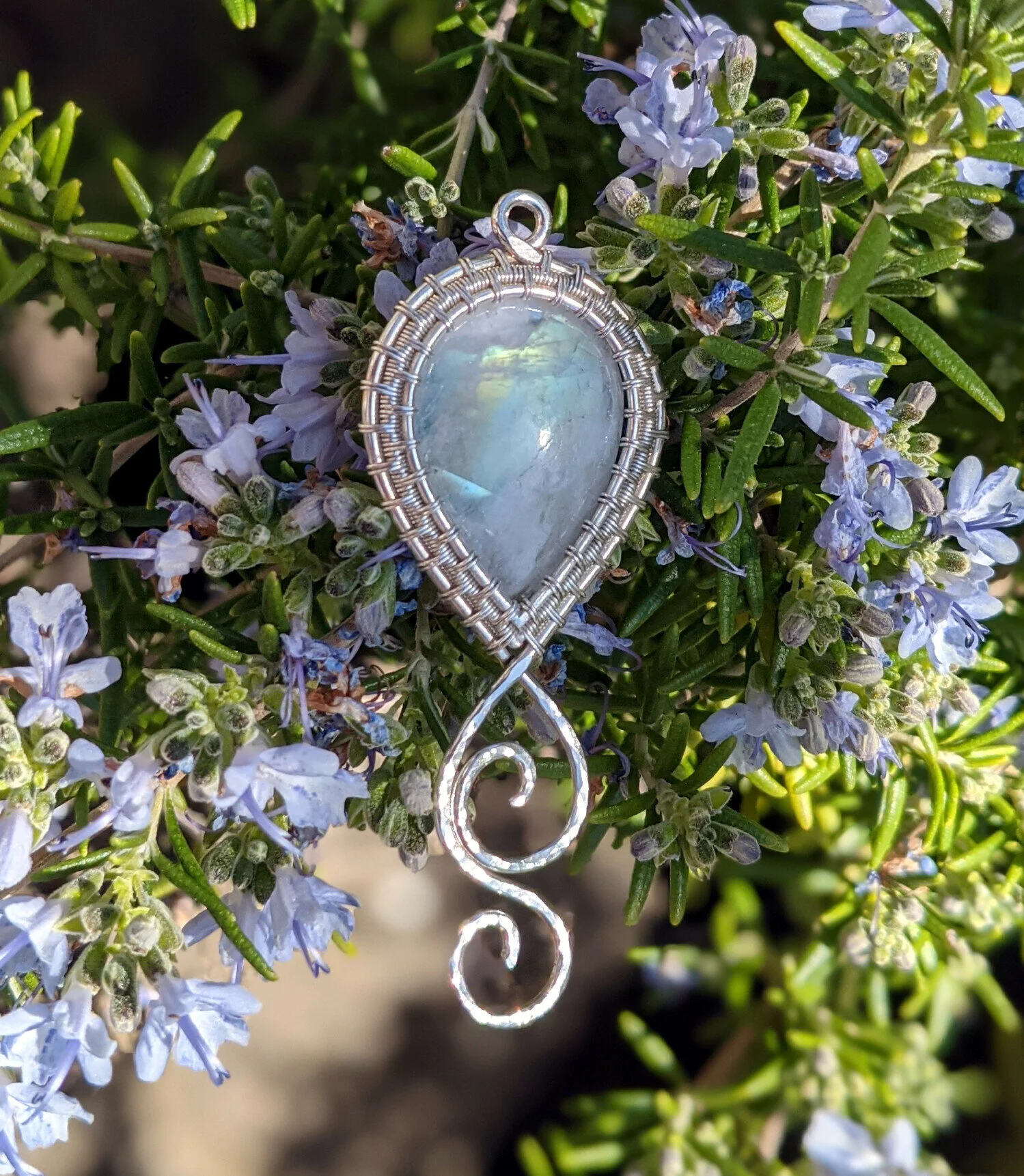 SKU0029-rosemary.1500.jpg