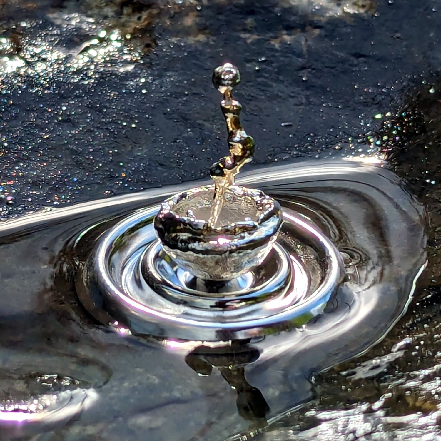 puddle-top.1500.jpg