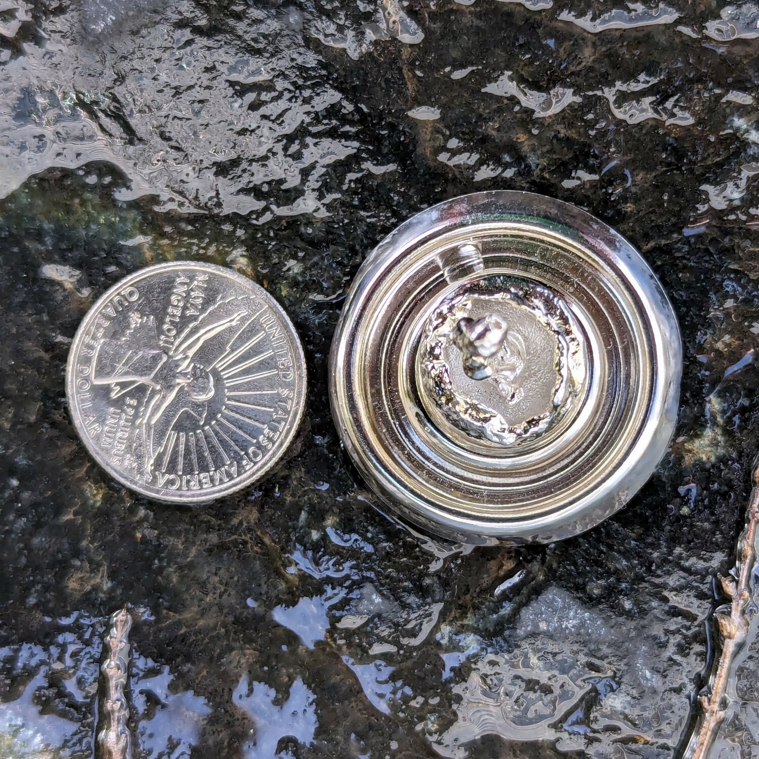 coin-top.1500.jpg