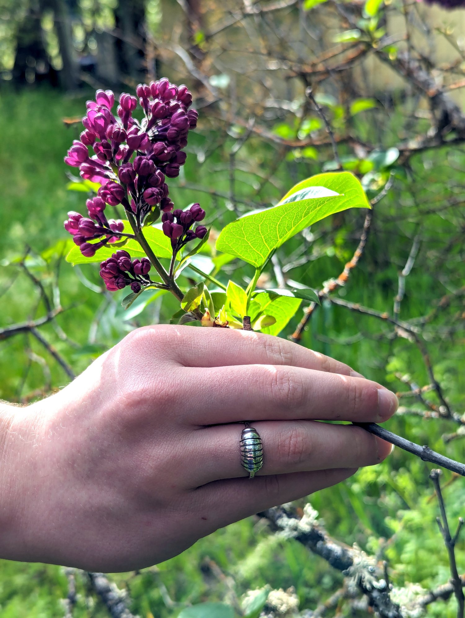 hand-lilac.1500.jpg