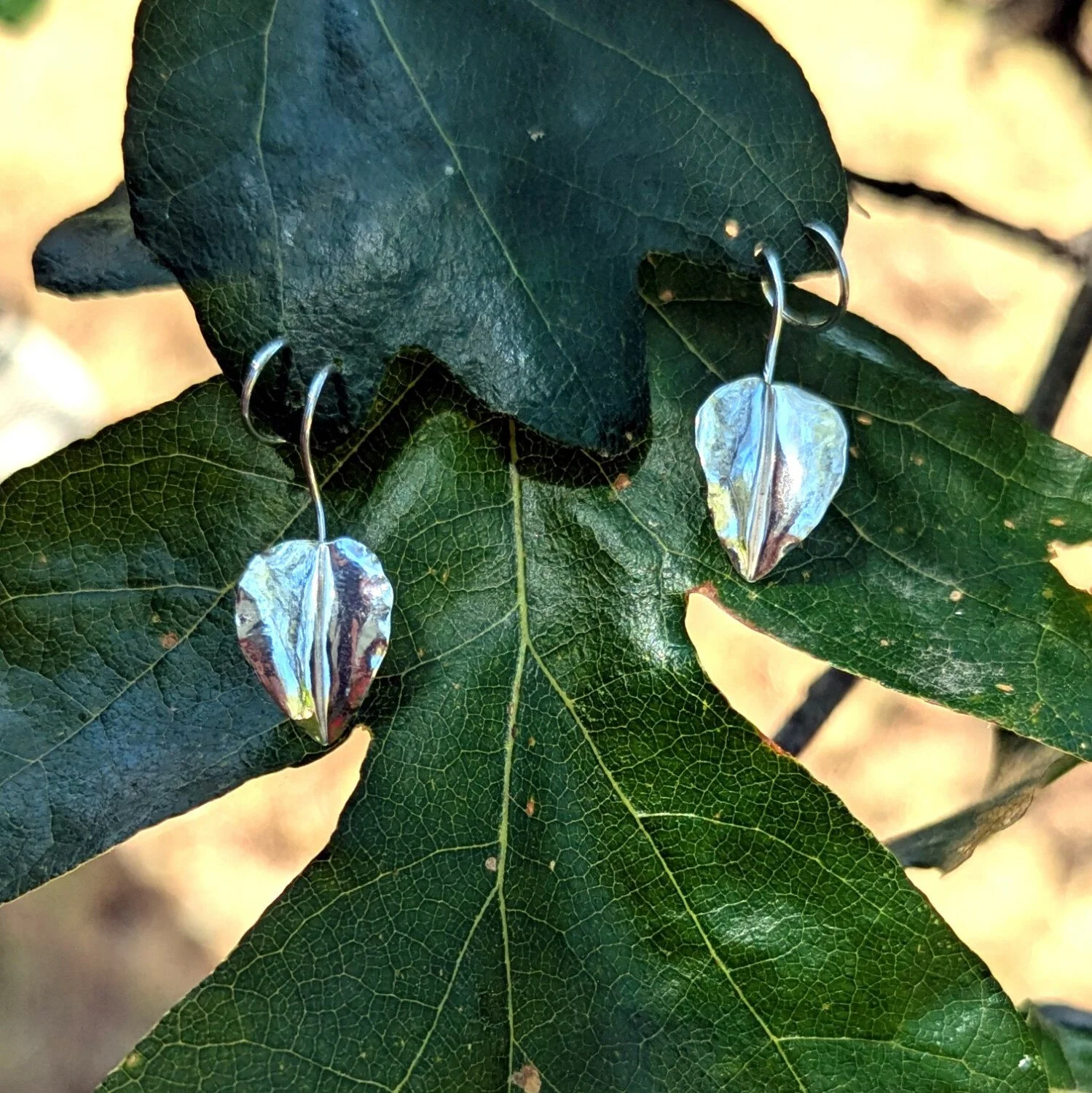 oakleaf.1500.jpg
