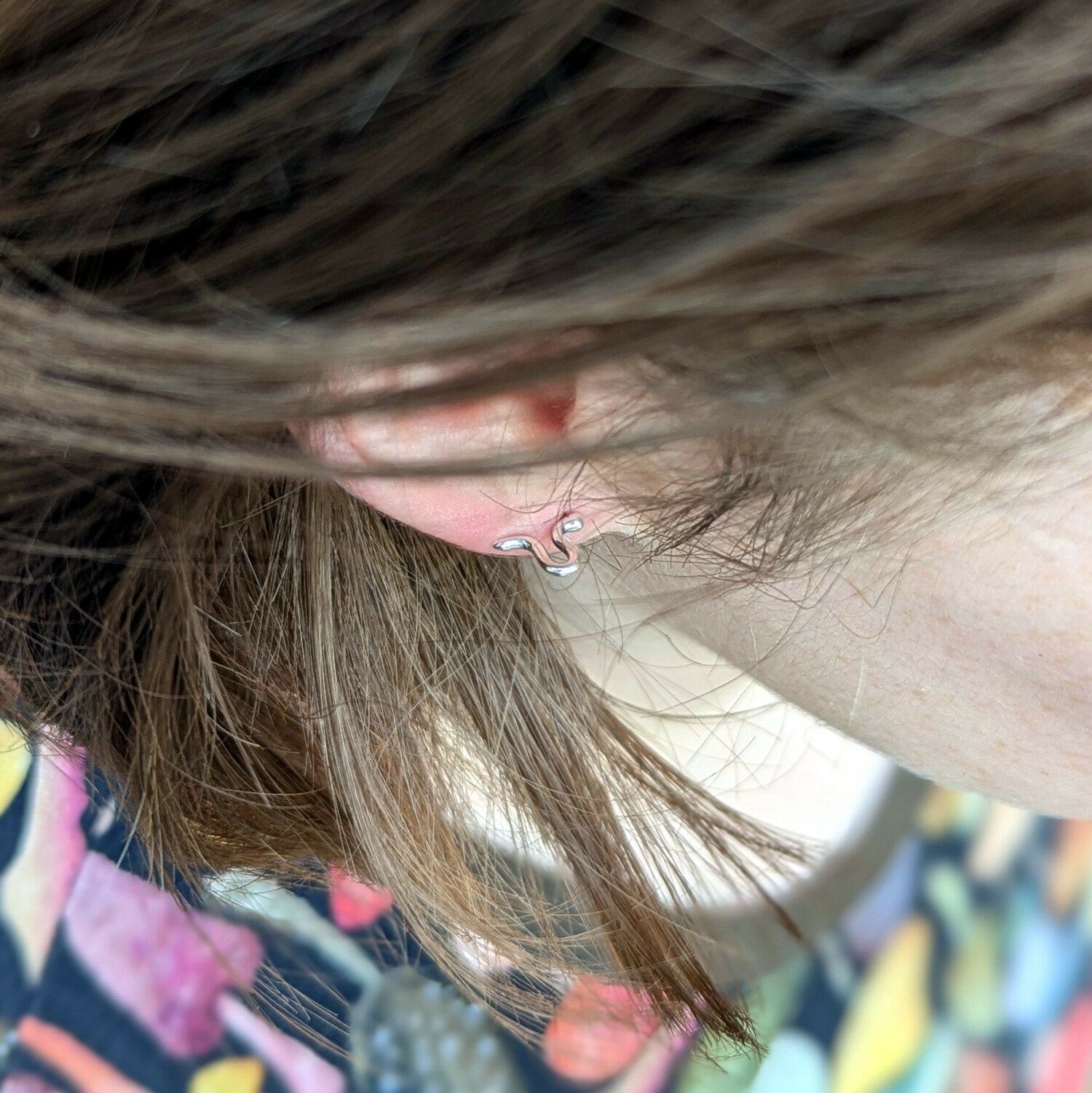 earfromabove.1500.jpg