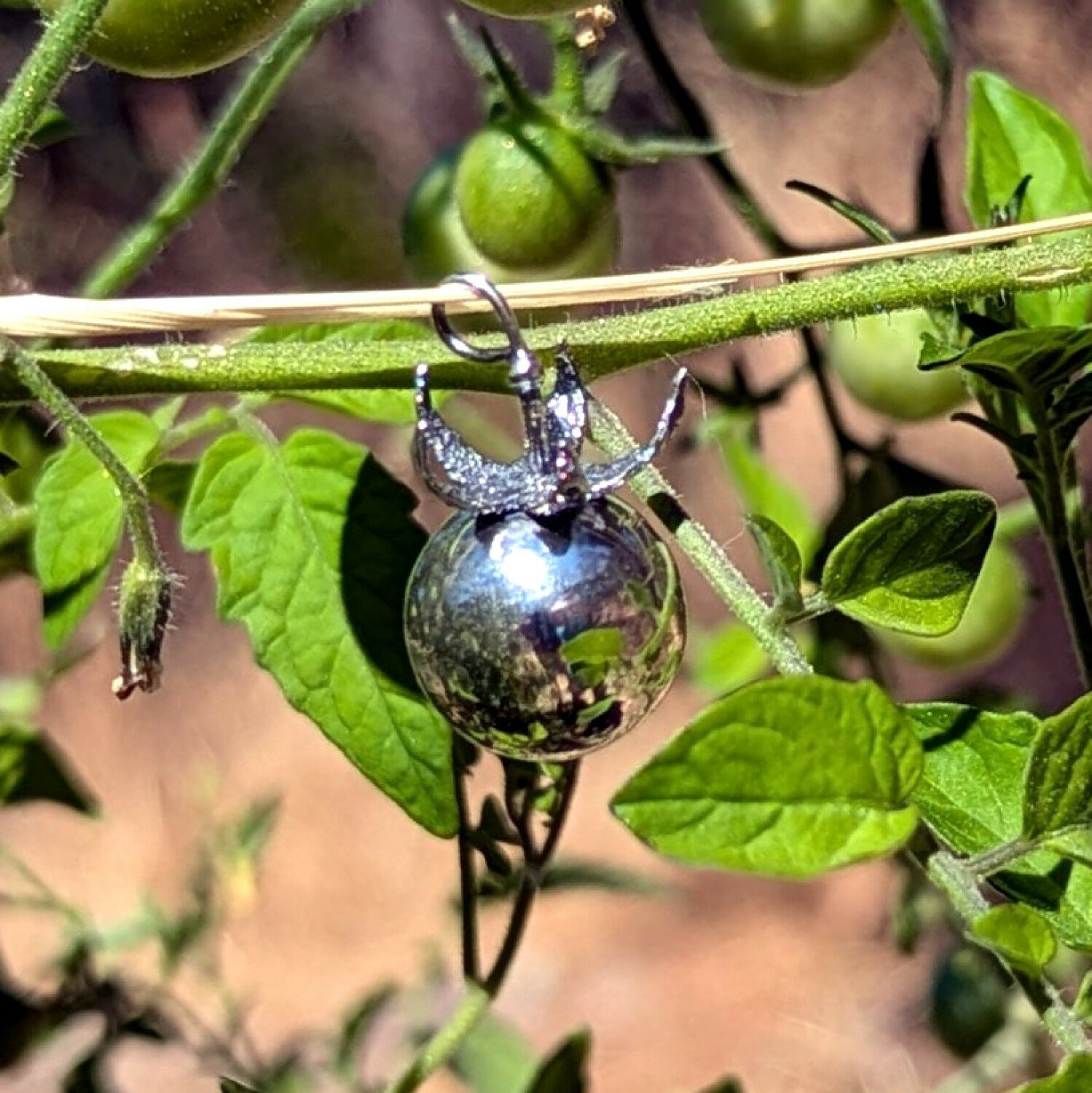 necklace.1500.jpg