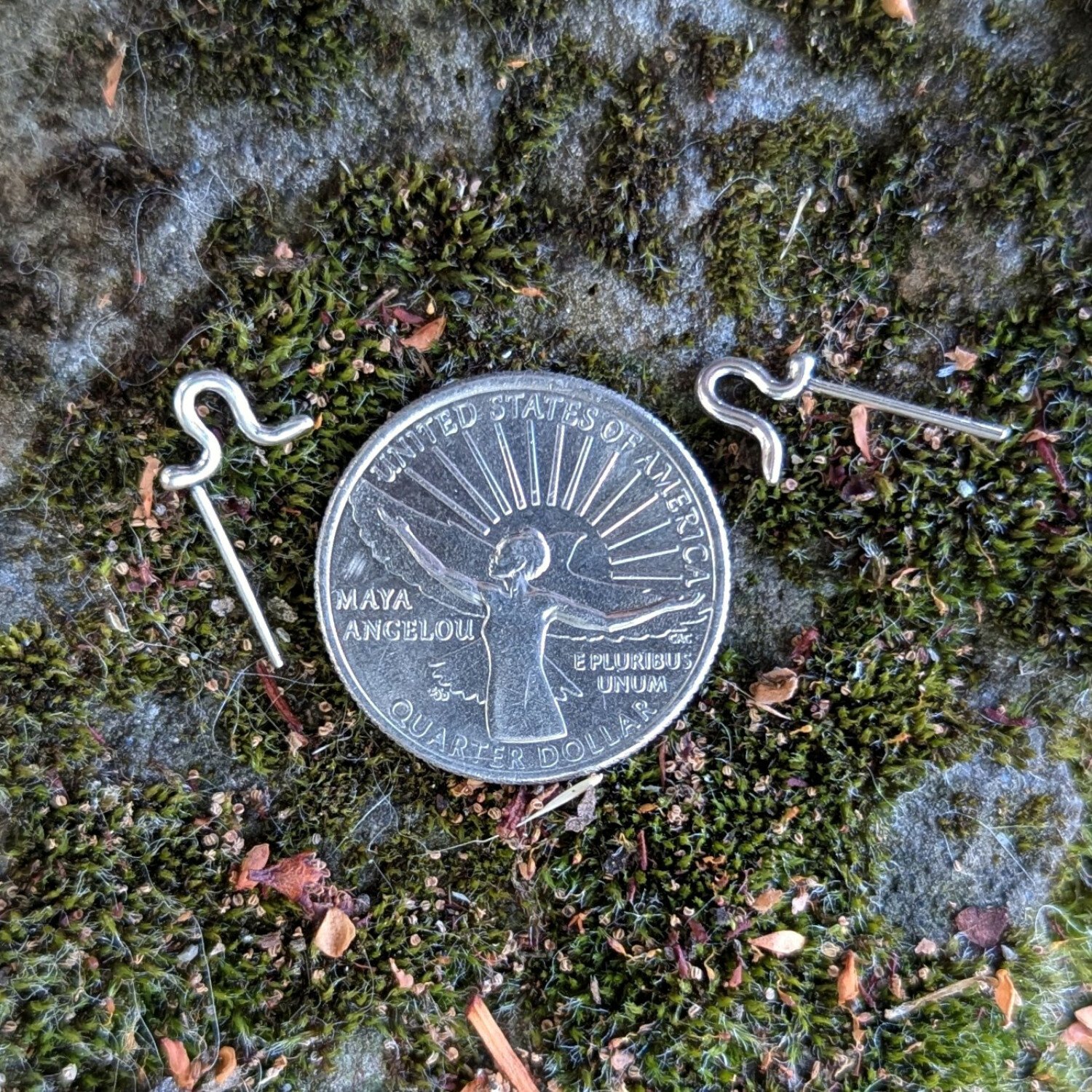 withquarter.1500.jpg