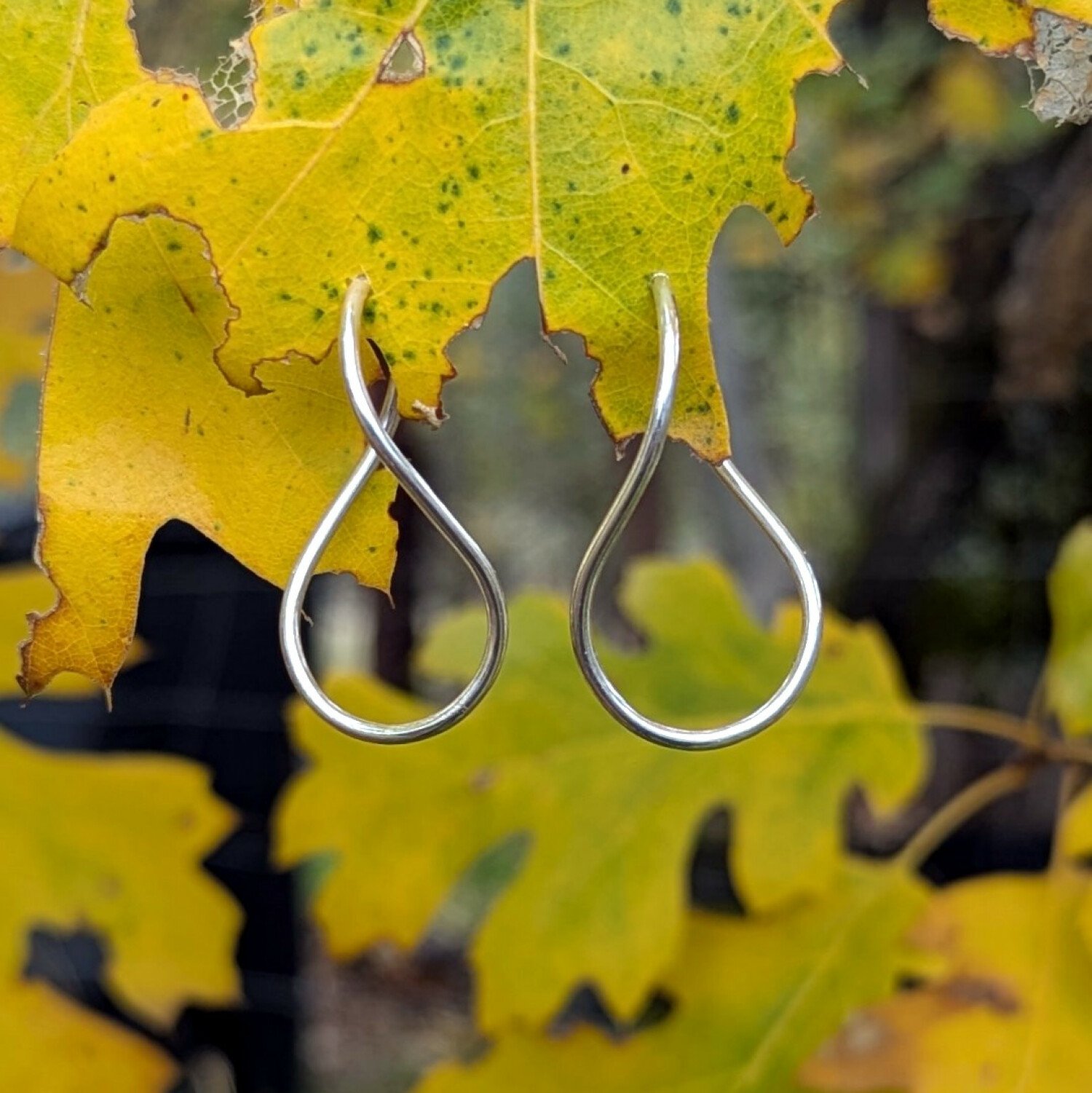 oakleaves.1500.jpg