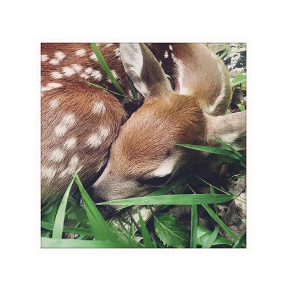 Sacred - 8x8 Fine Art Print