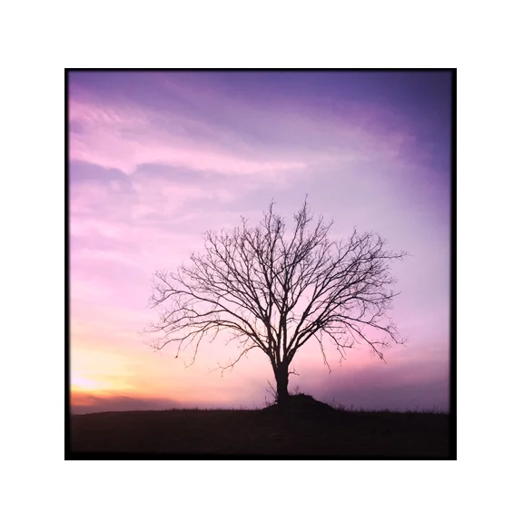 Tranquil - 8x8 Fine Art Print