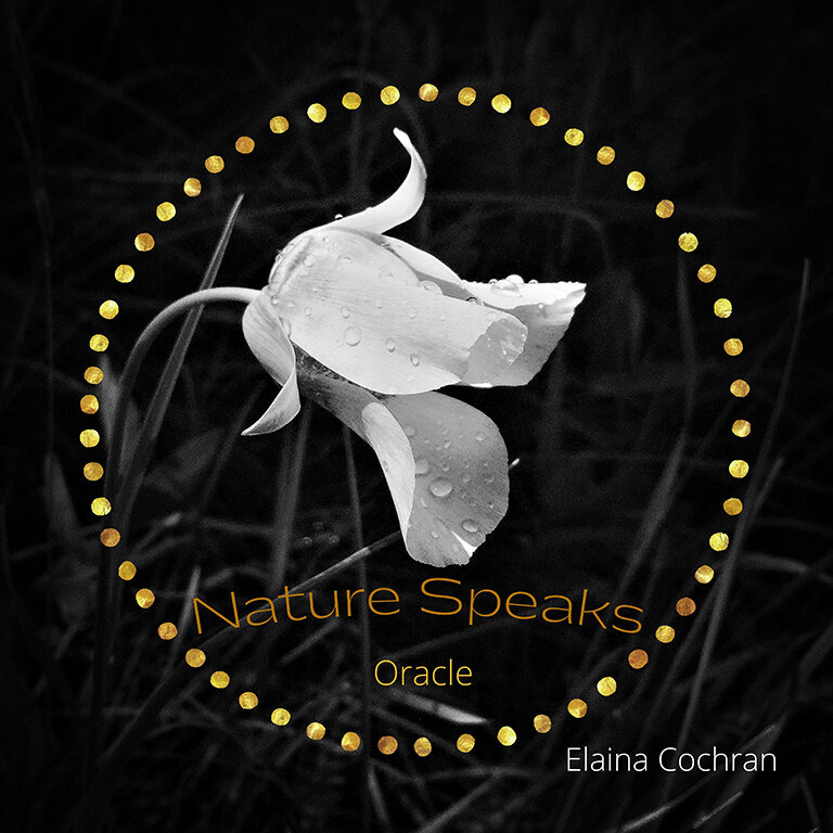 Nature Speaks Oracle Deck 