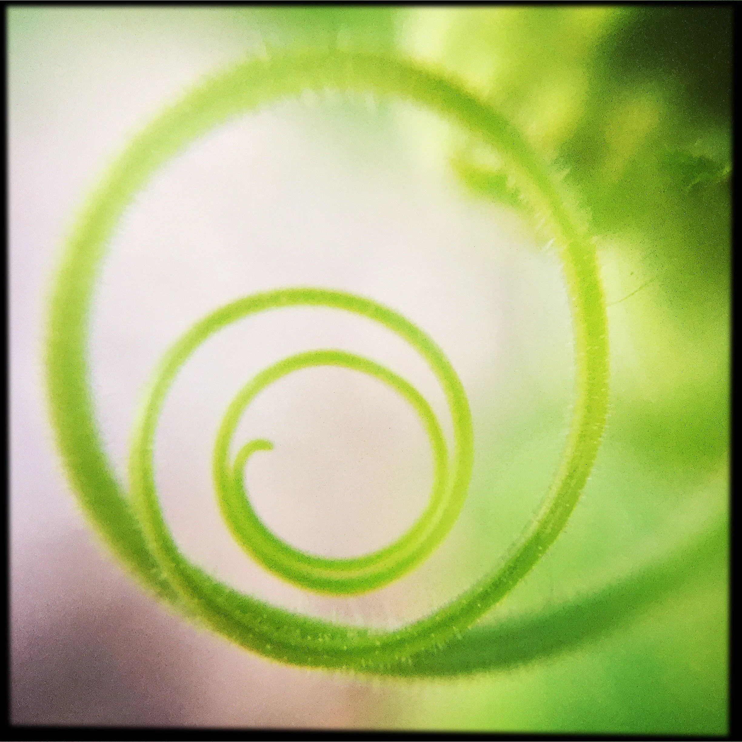 HipstamaticPhoto-589071369.819386.JPG