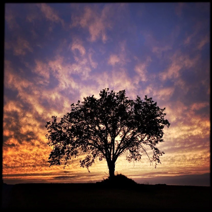 Morning Sacred Heart Meditation Series - Begins April 21st