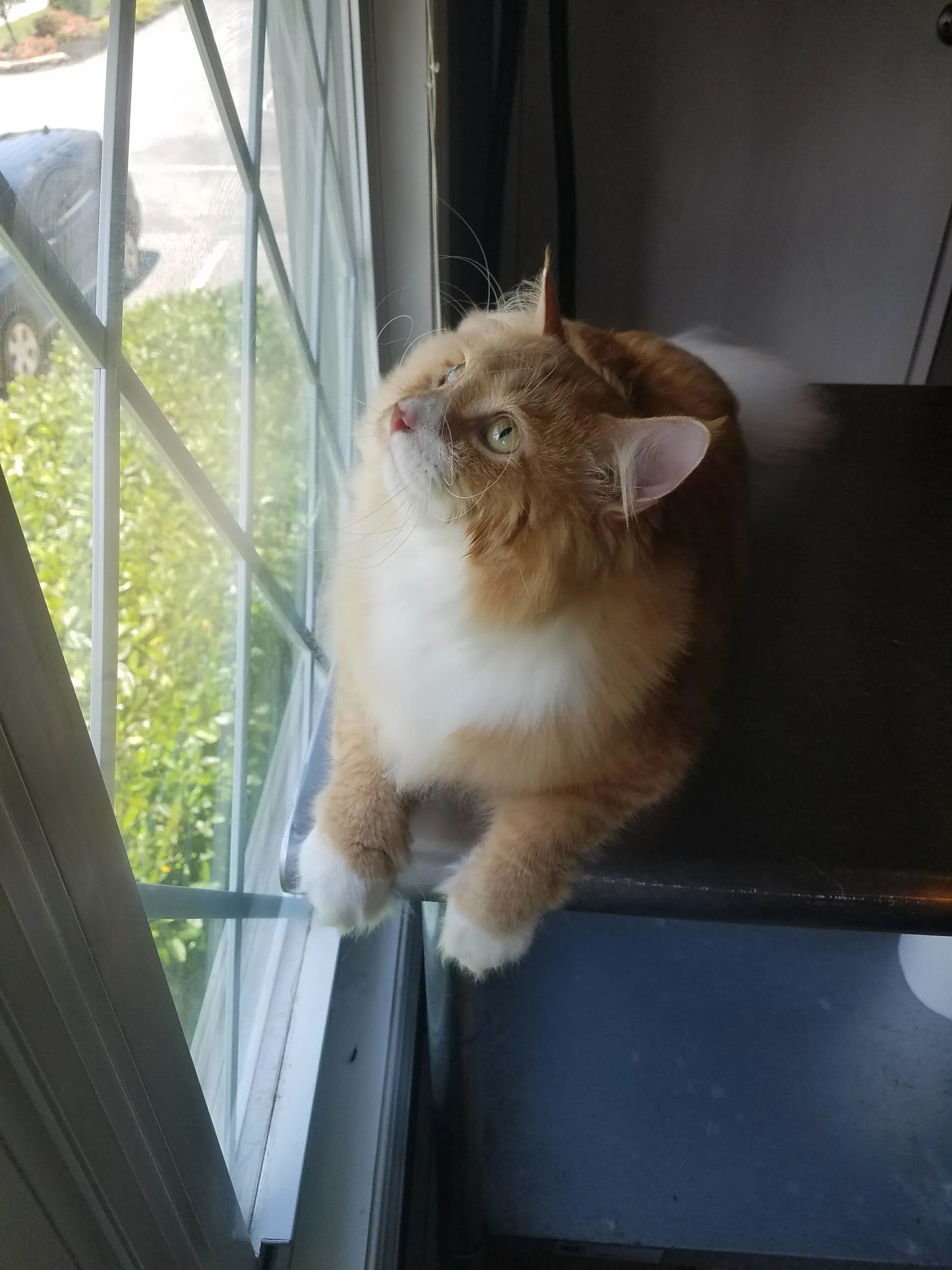 20180601_130459.jpg