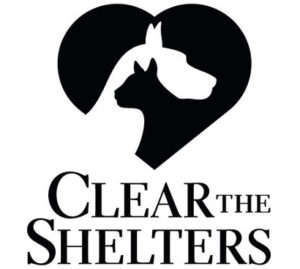 Clear The Shelters