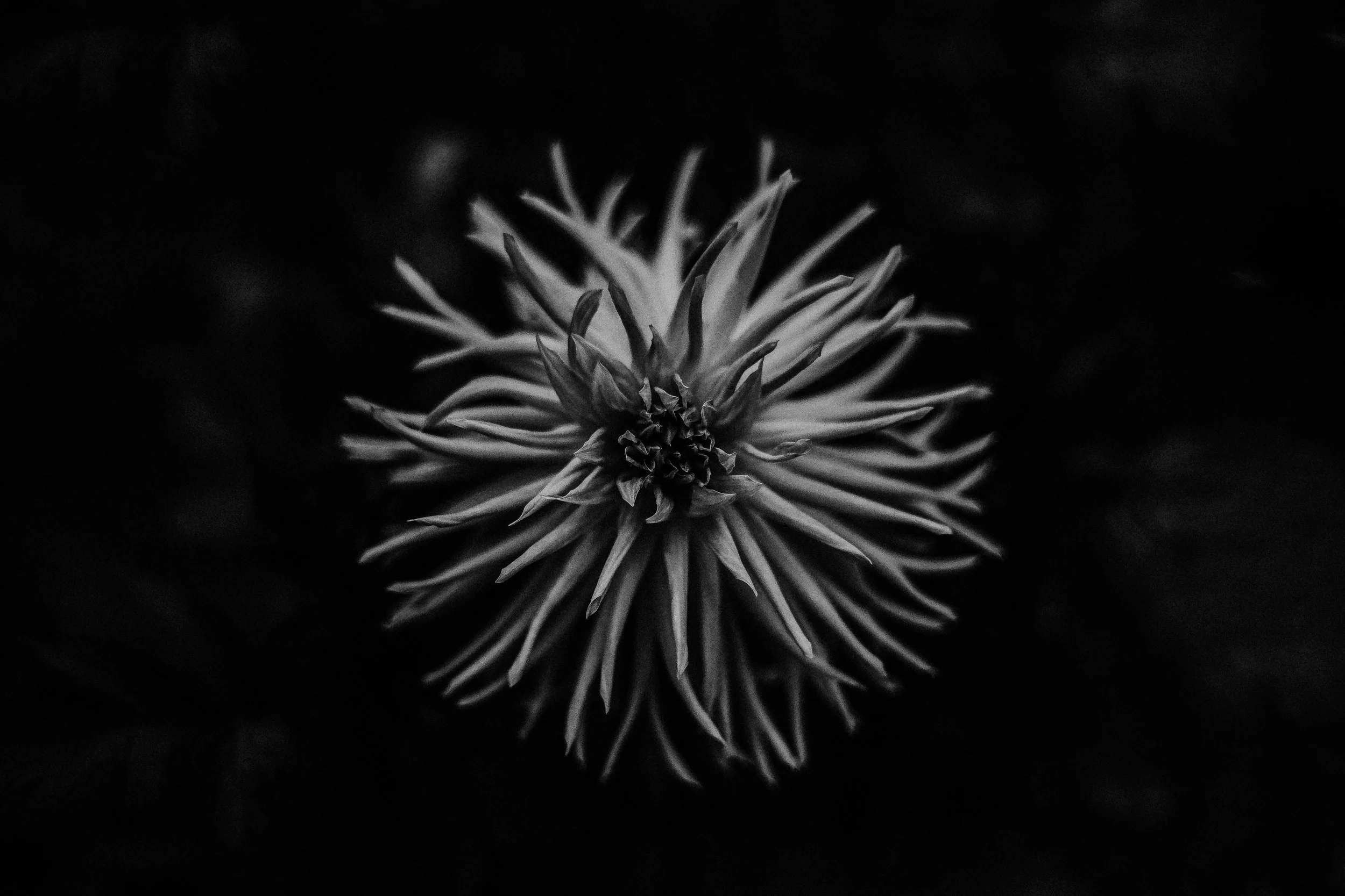 IMG_6940-Edit-1-2.jpg