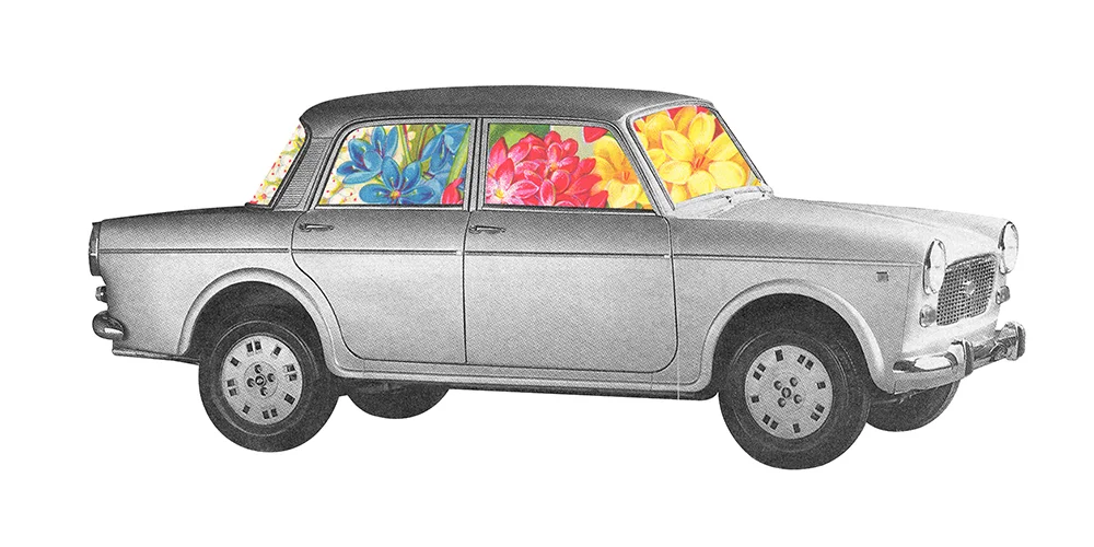 CultFiat.jpg