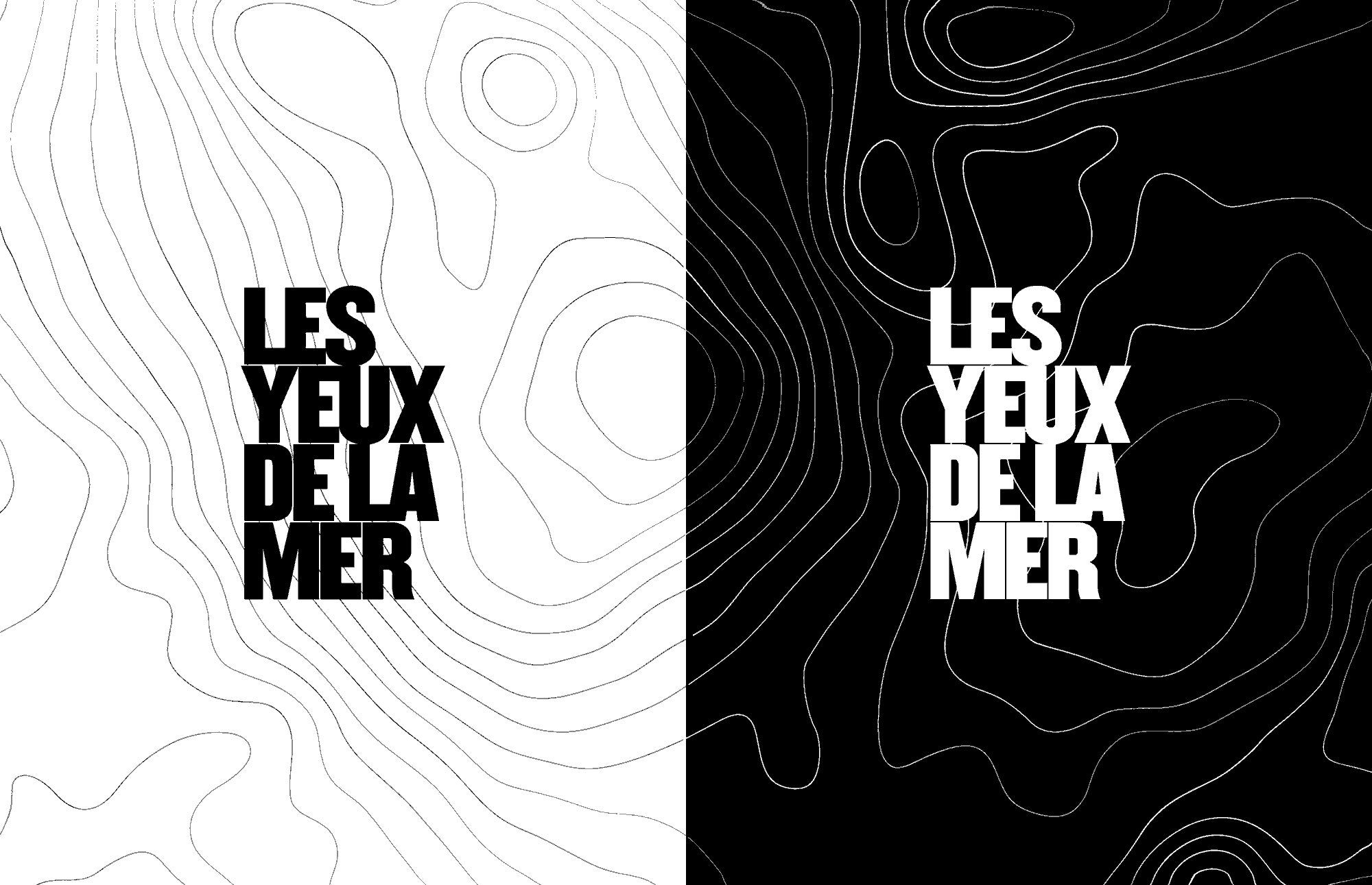 Les-Yeux-Logo-Video2.gif